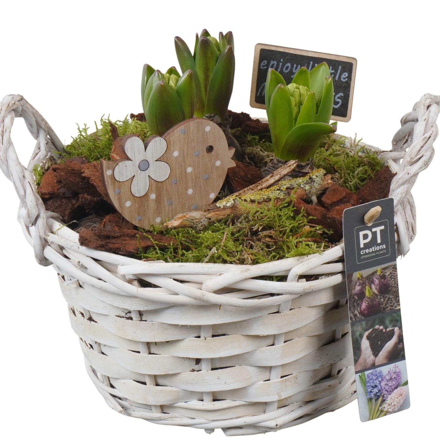 PTHC9172 Arrangement Hyacints in riet mand, D 20