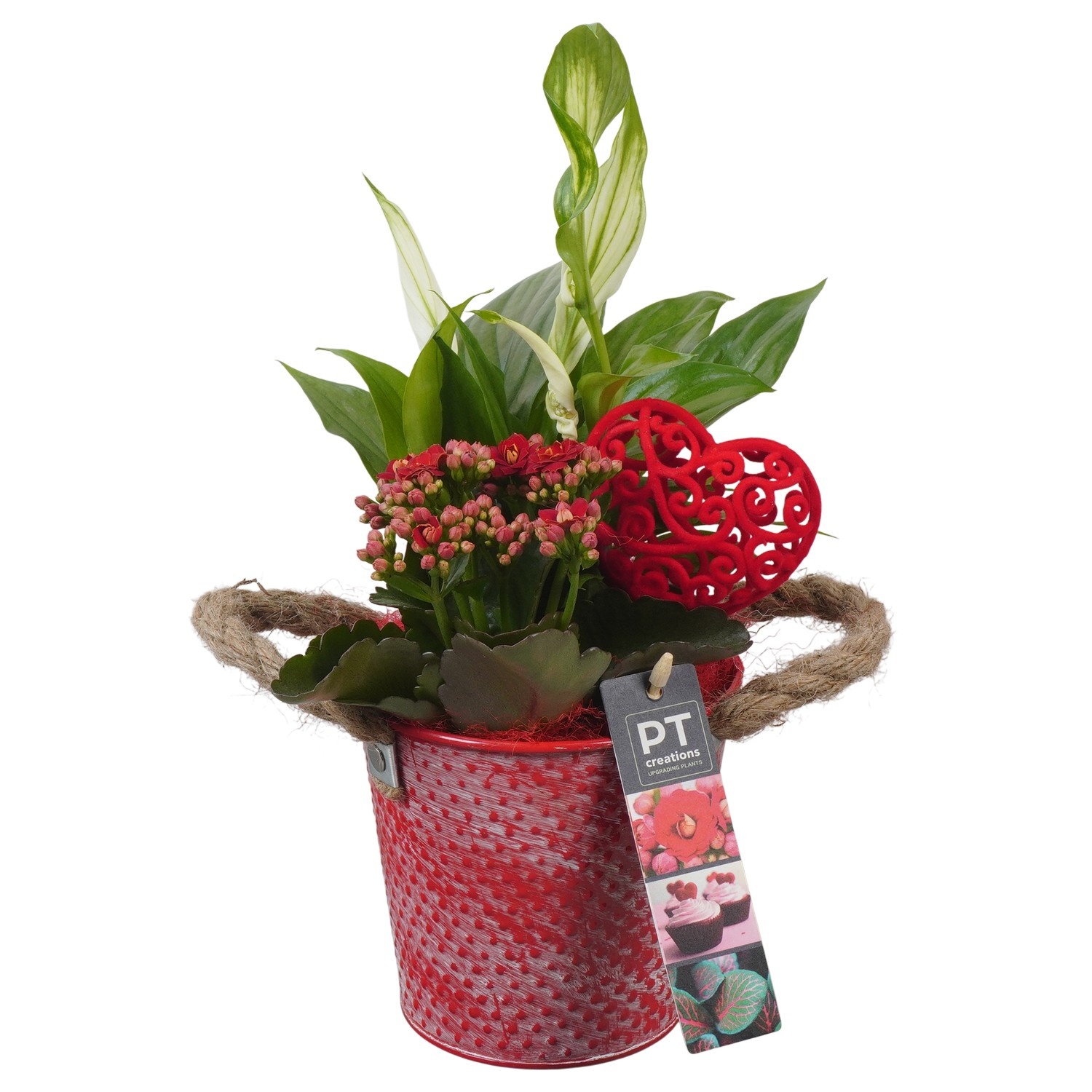 PTVMB2363 Arrangement Valentines-Mothersday in zink sierpot, D 12