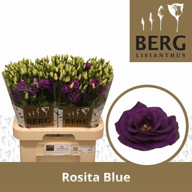 Эустома Розита Блю 70 (син.), шт.