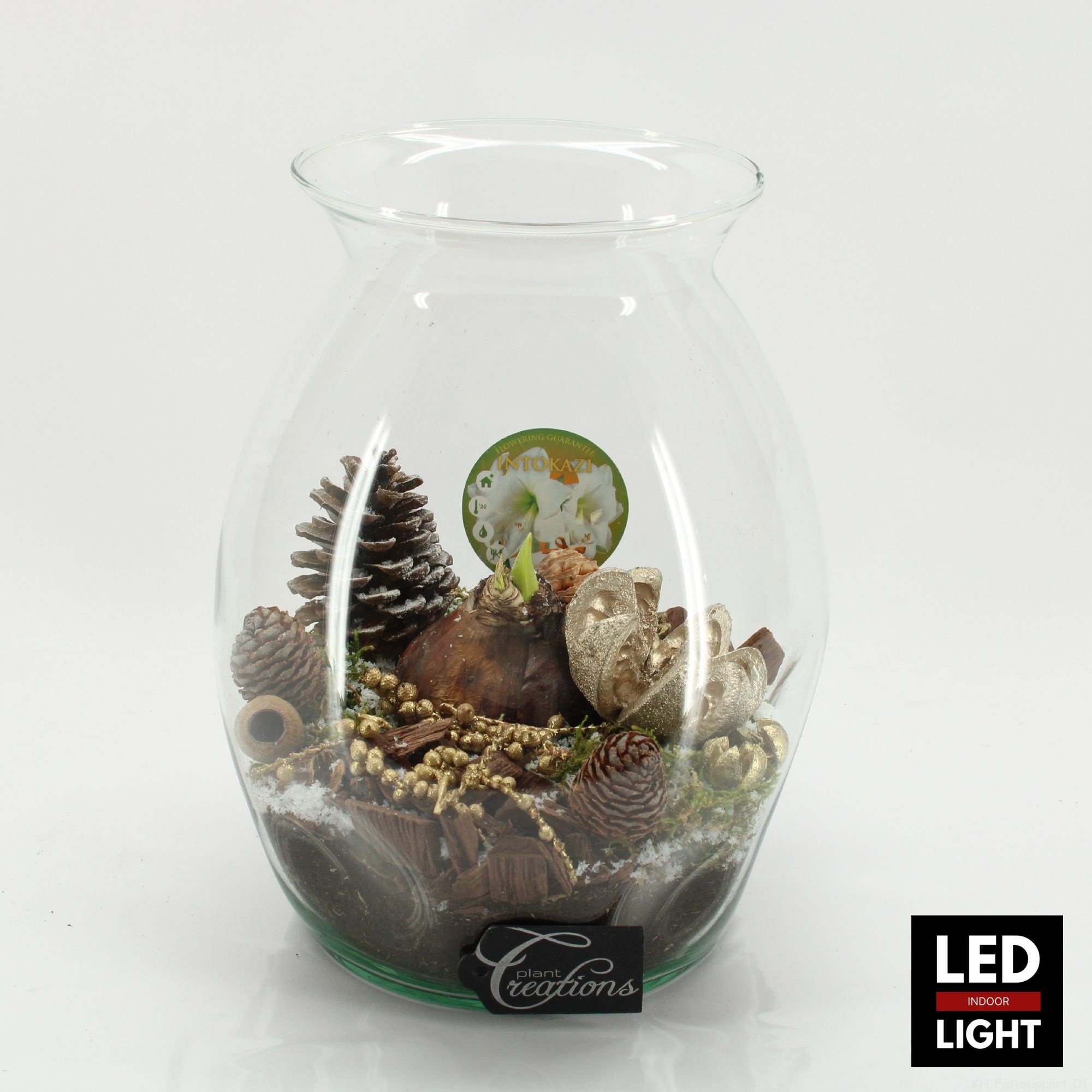 HICR-2506WLED Kerst Amaryllis terrarium, D 22 cm