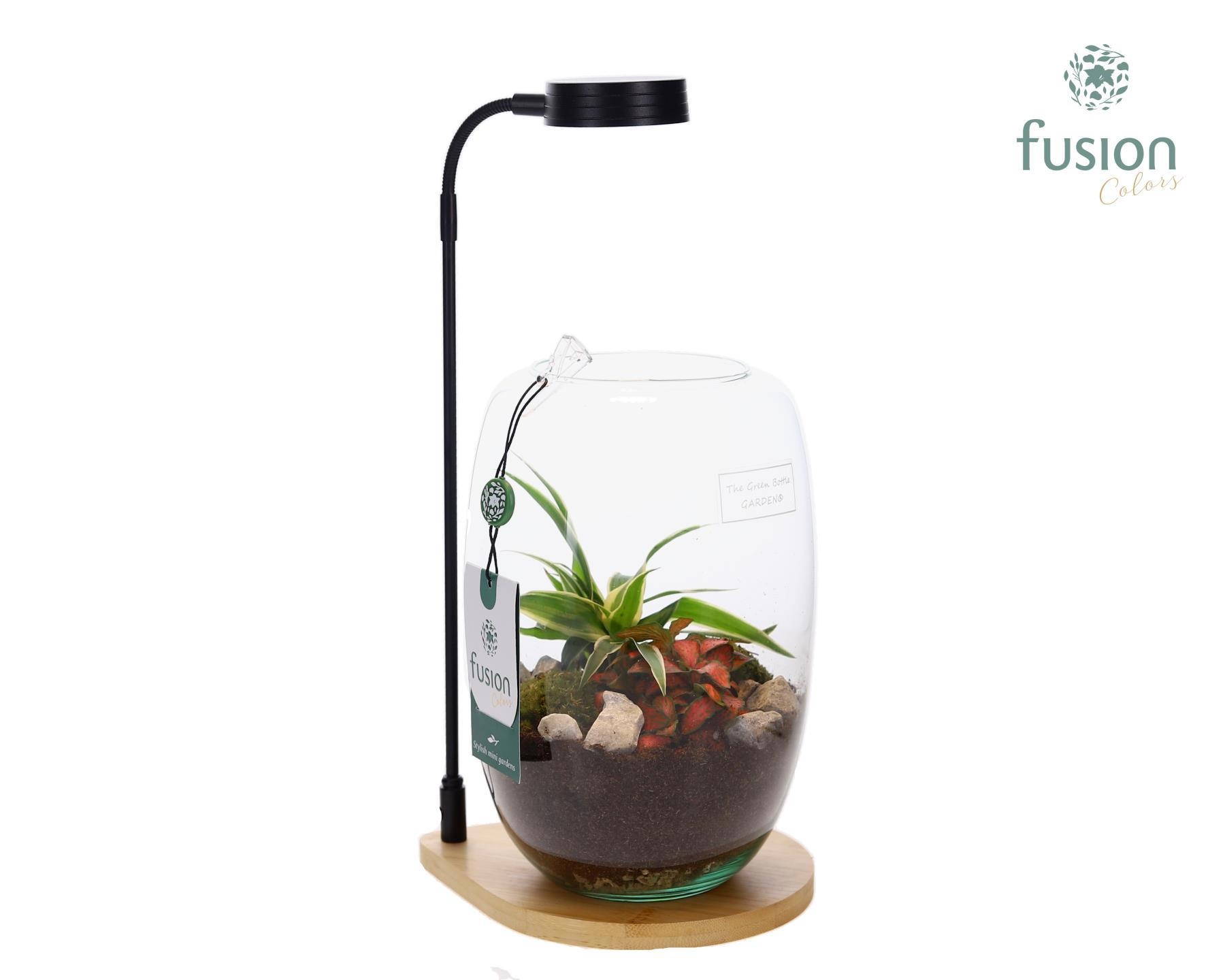 Bamboe plateau met LED licht lamp en vaas en Groen planten, D 15