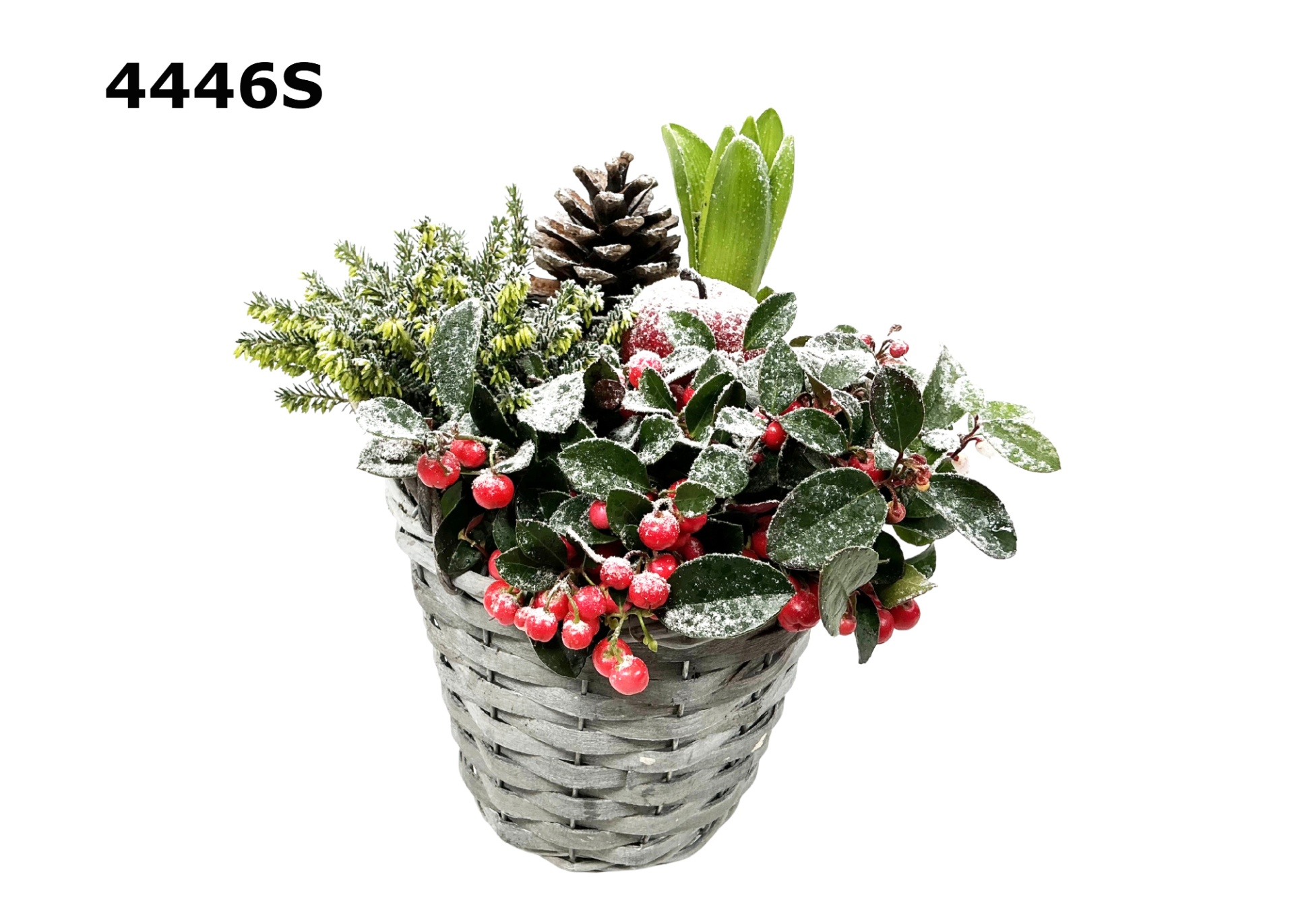 Kerst potmand M, D 17 cm