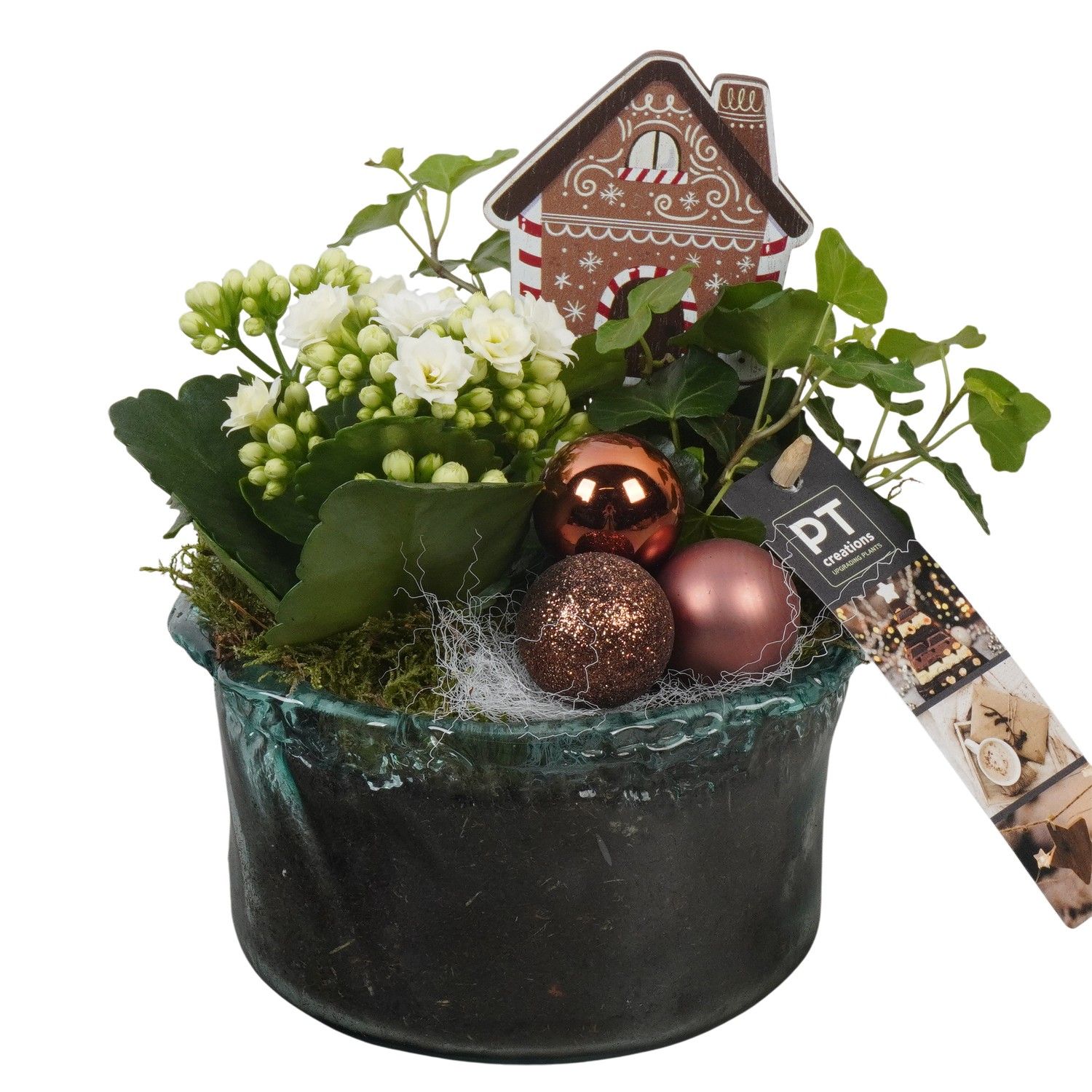 PTCHB9845 Arrangement Christmas Bronze in glas schaal, D 15 cm