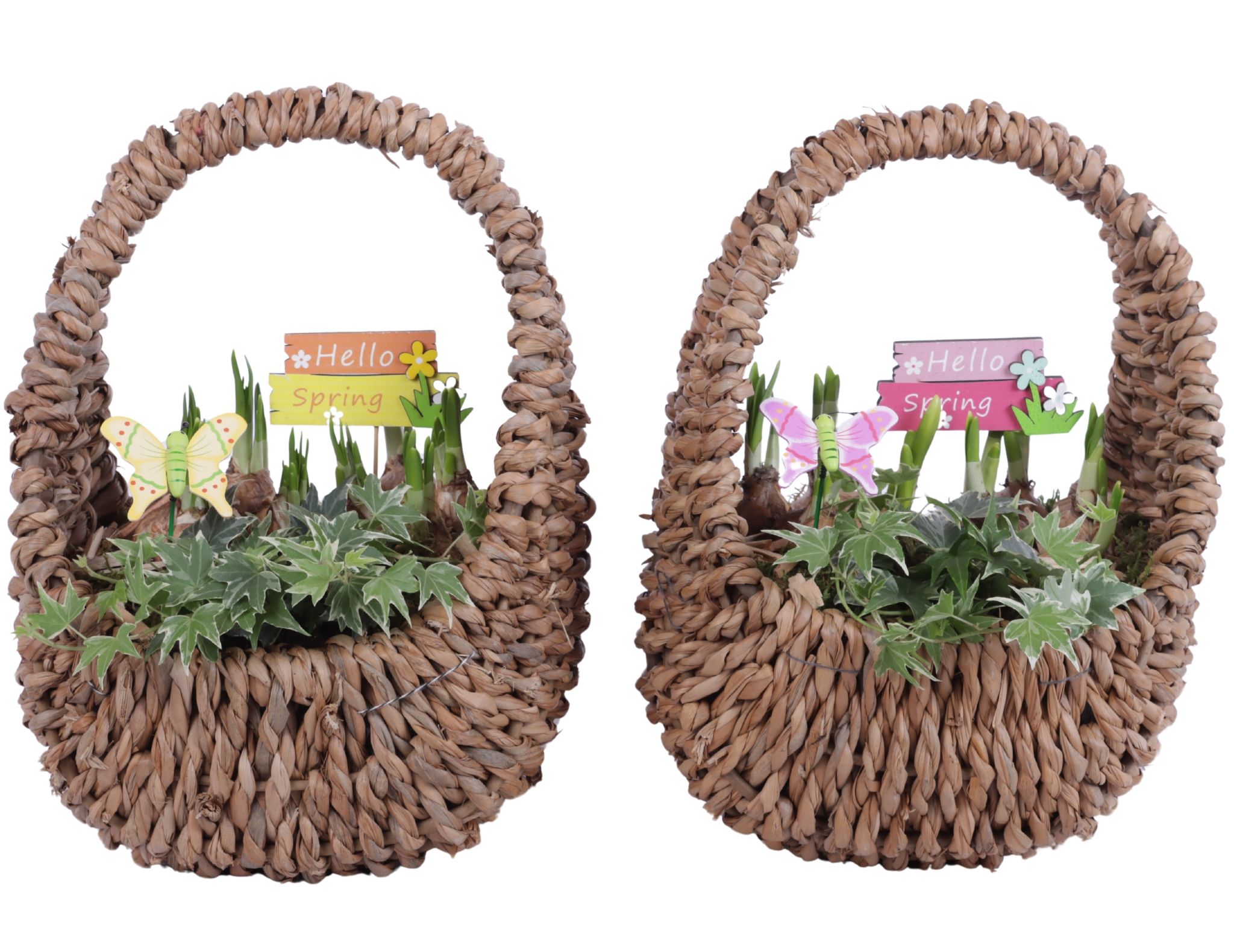Bulbs Arr. Narcis Egg Shaped Handle Basket Ø27cm, D 23