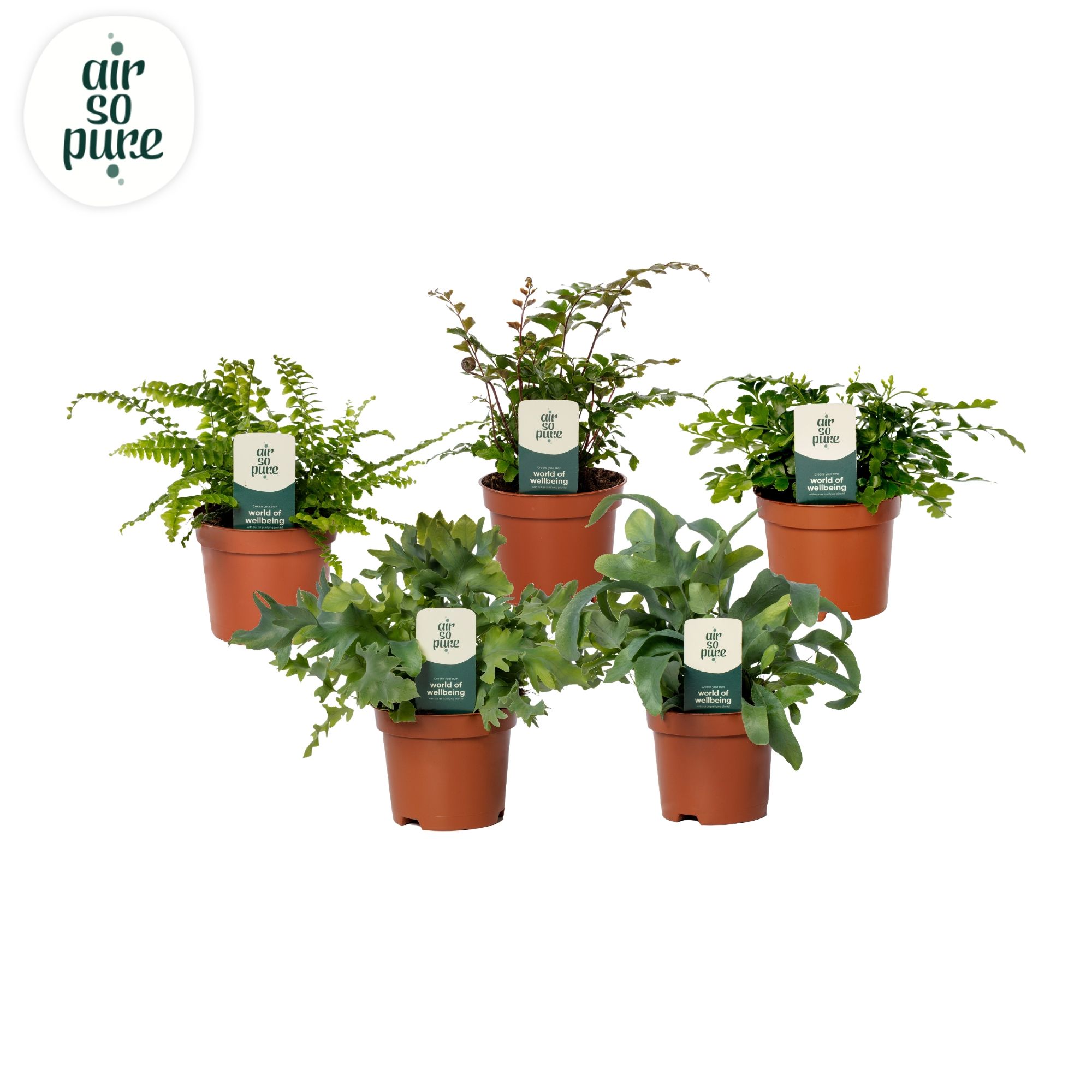 Varenmix - Air So Pure, D 9