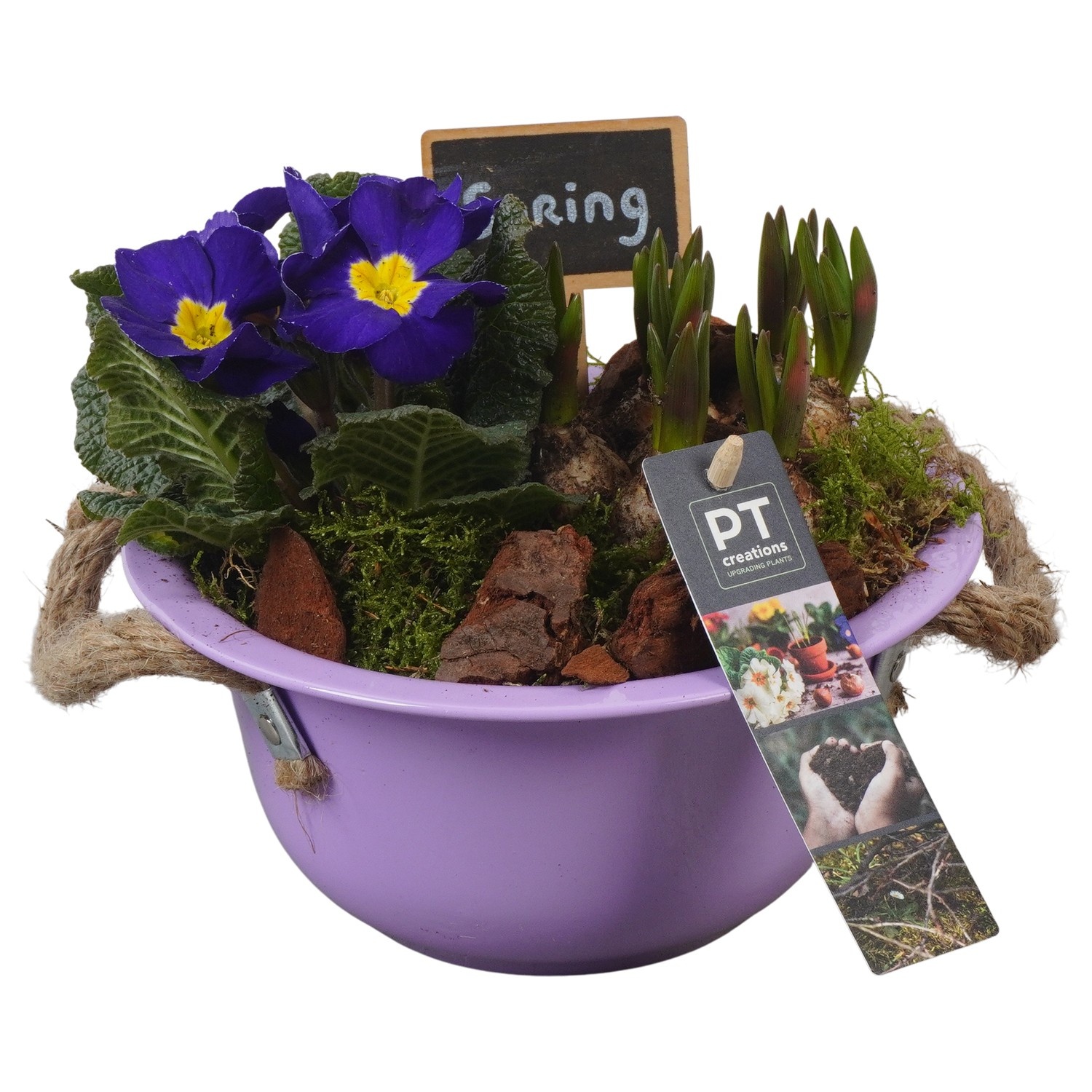 PTBM3713 Arrangement Flower Bulbs Mix in metalen schaal, D 18