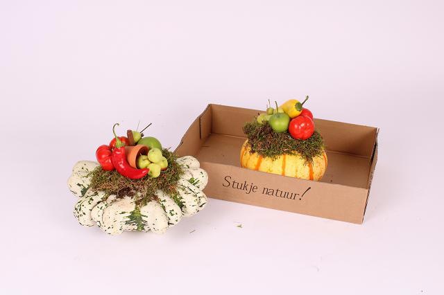 Кукурбита Овериг x2, шт. Кукурбита Овериг x2, шт.