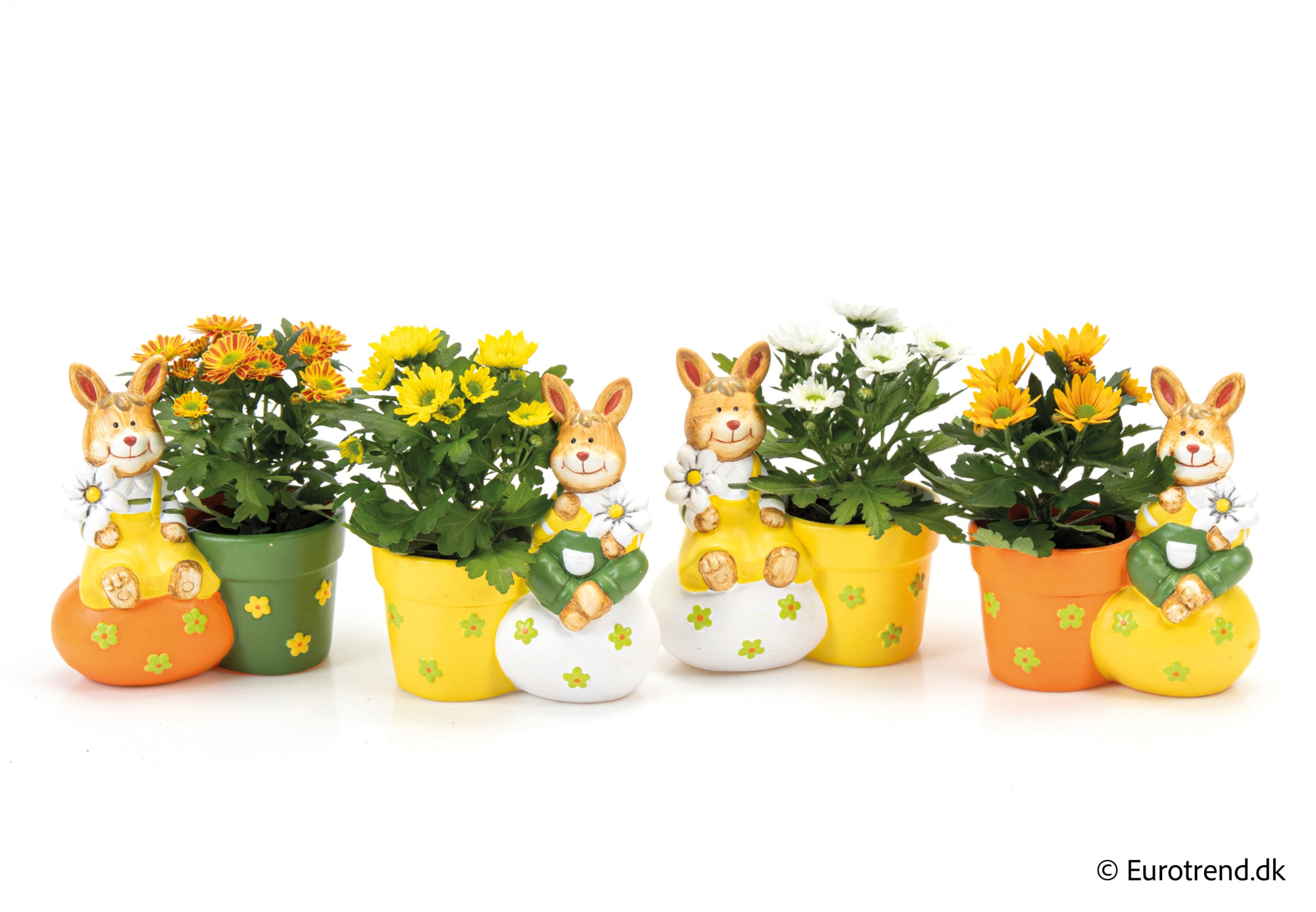 Chrysanthemum in Easter ceramic 2026, D 6