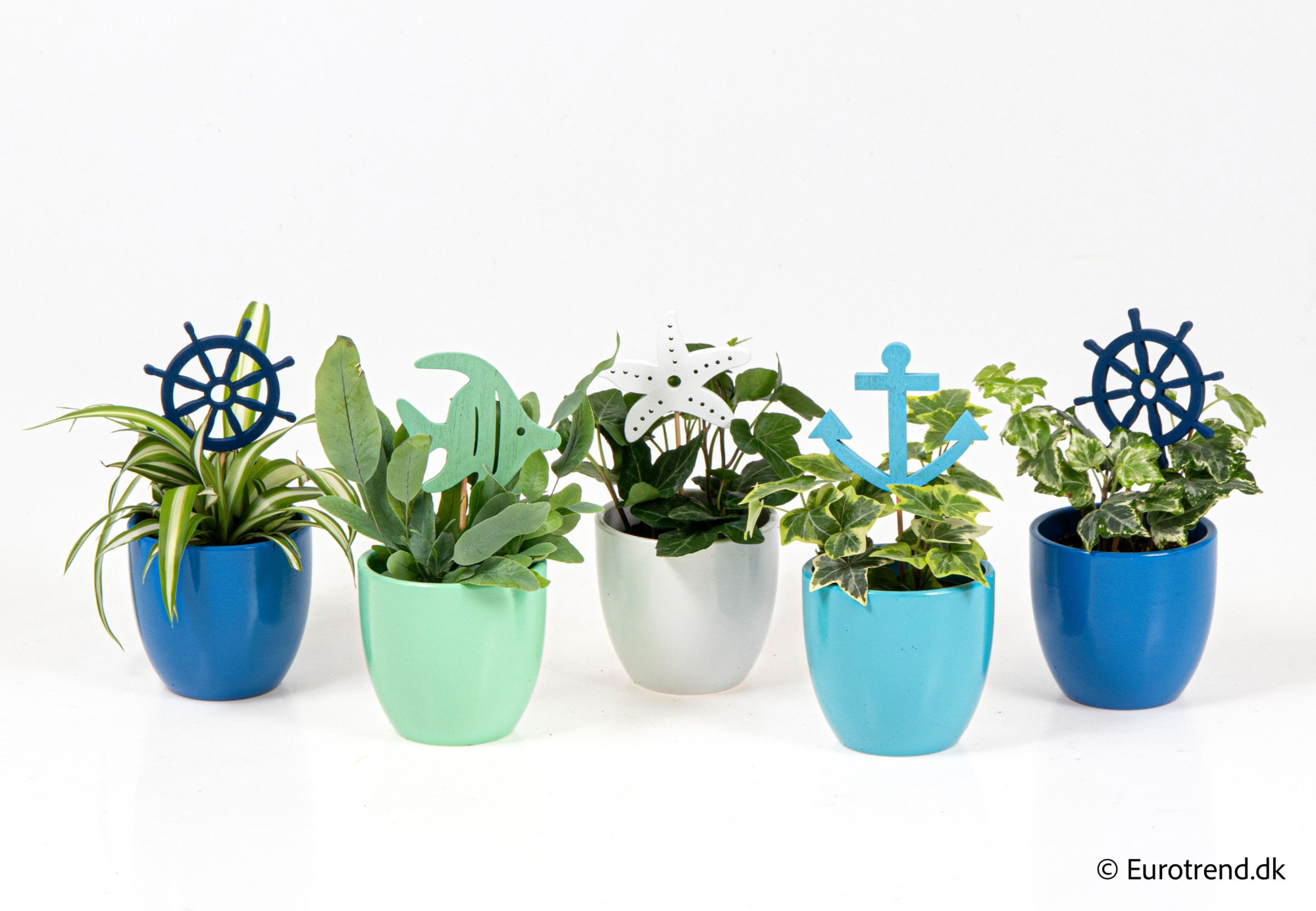 Green mix in sea ceramic - Spring, Summer & Autumn 2025, D 6 cm