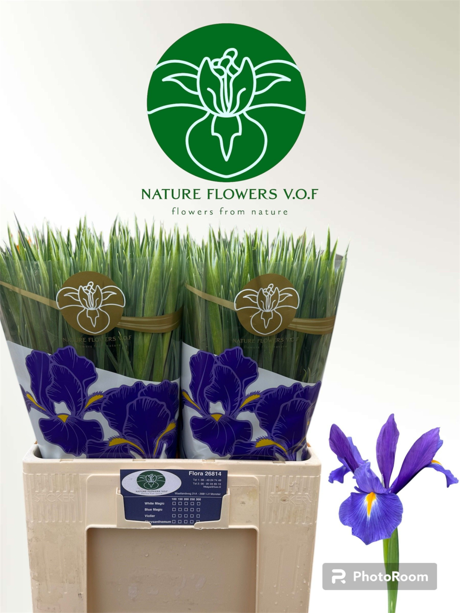 Ирис Блю Мэджик (син.), шт.