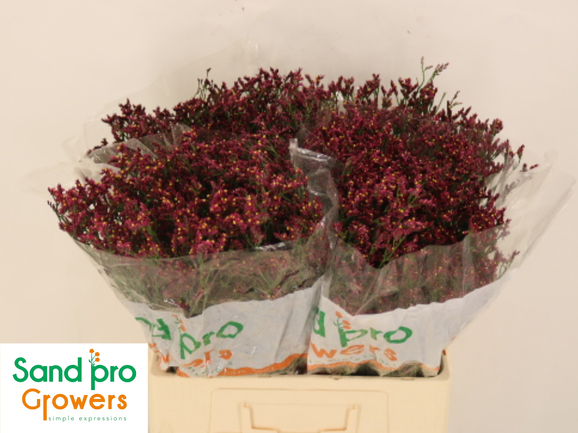 Лимониум Скарлет Даймонд 60, шт.