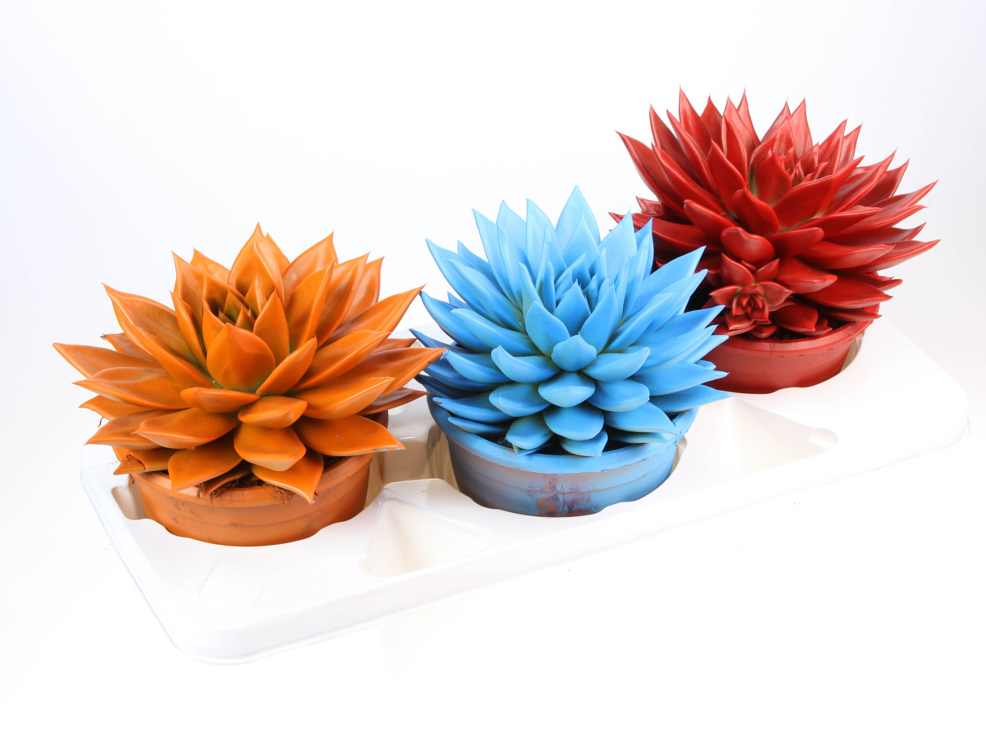 Rainbow mix, D 17 cm