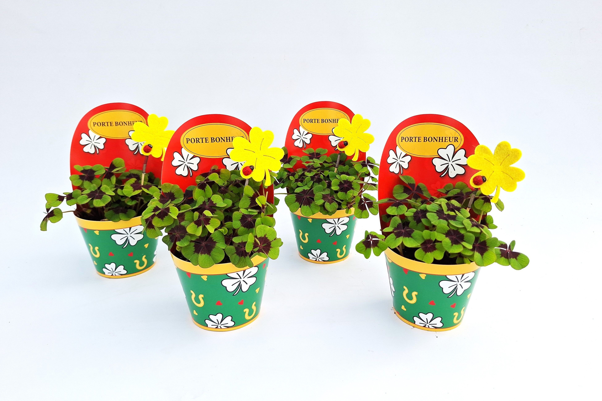 Gelukpotje Klavertje FRANS, D 9 cm