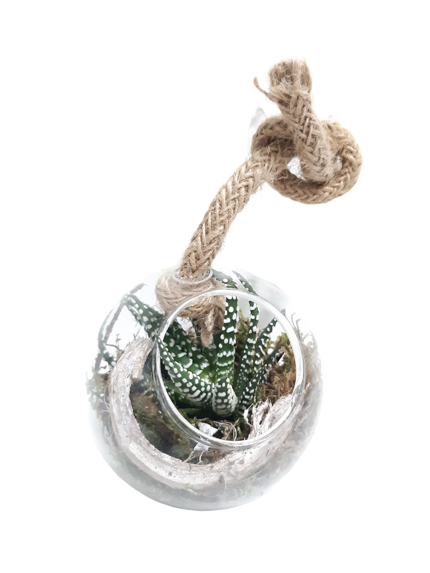 GB9 Glasbol 8cm Gasteria jute deco, D 8 cm