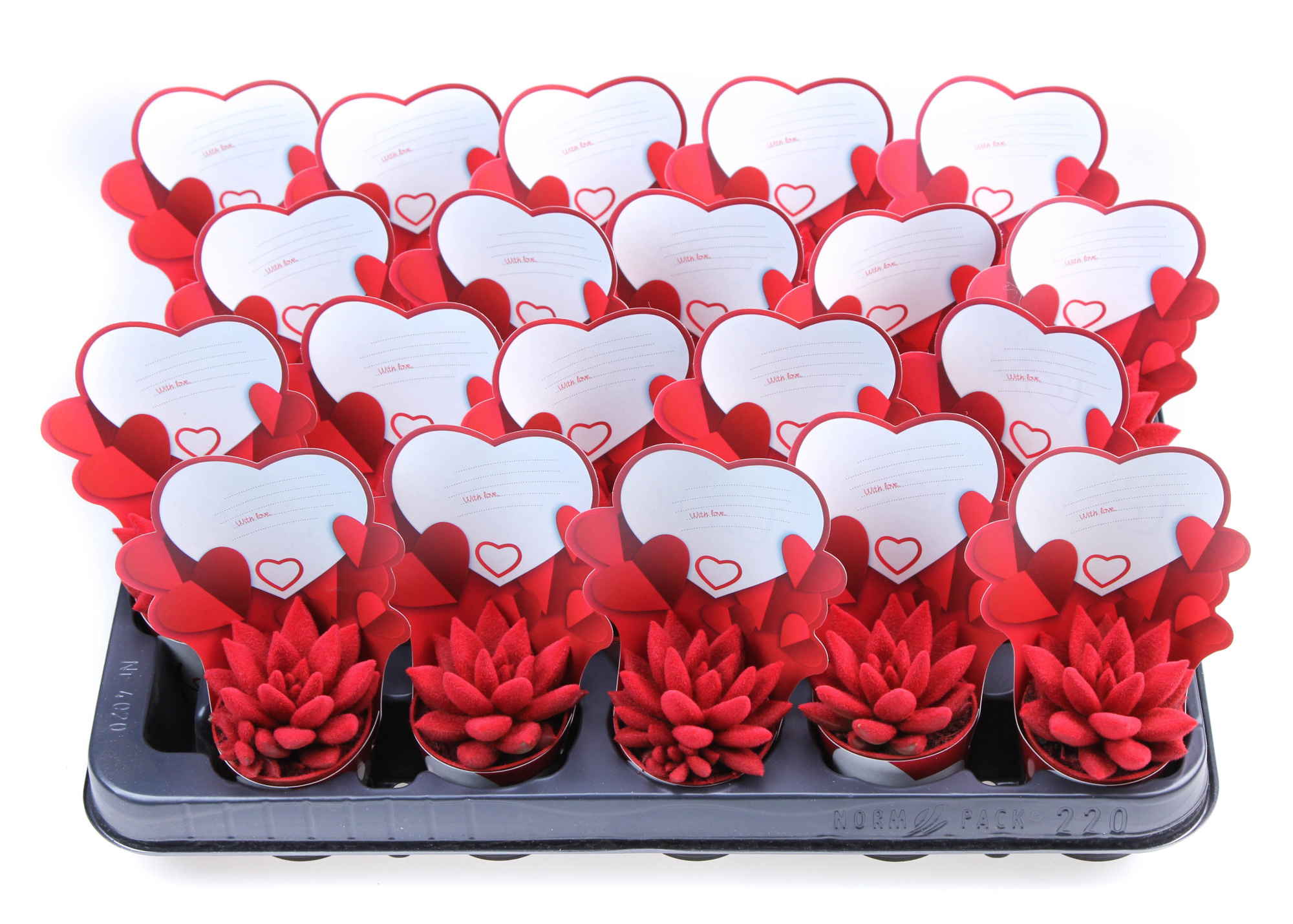 Potcover little love velvet red, D 5,5 cm