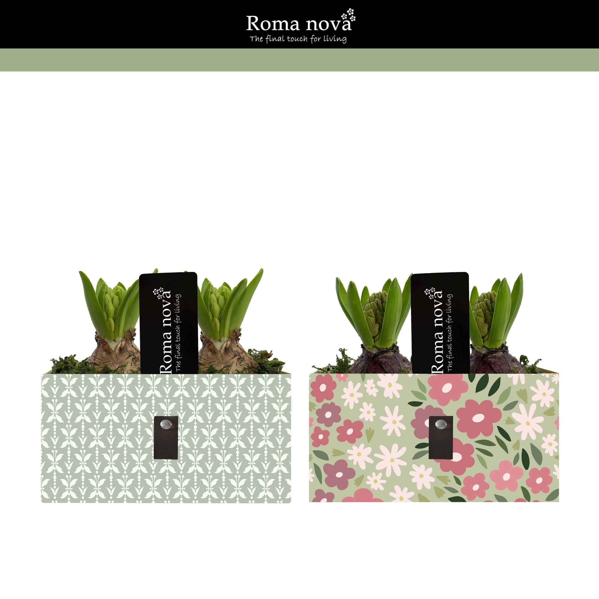 1350 - Blossom Bliss (Hyacint), D 15