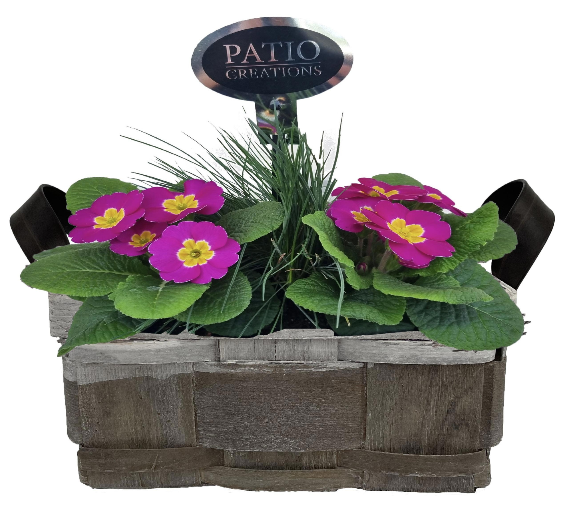 PRF825-9001 Primula met Festuca Fenna lederlook handvat S, D 21