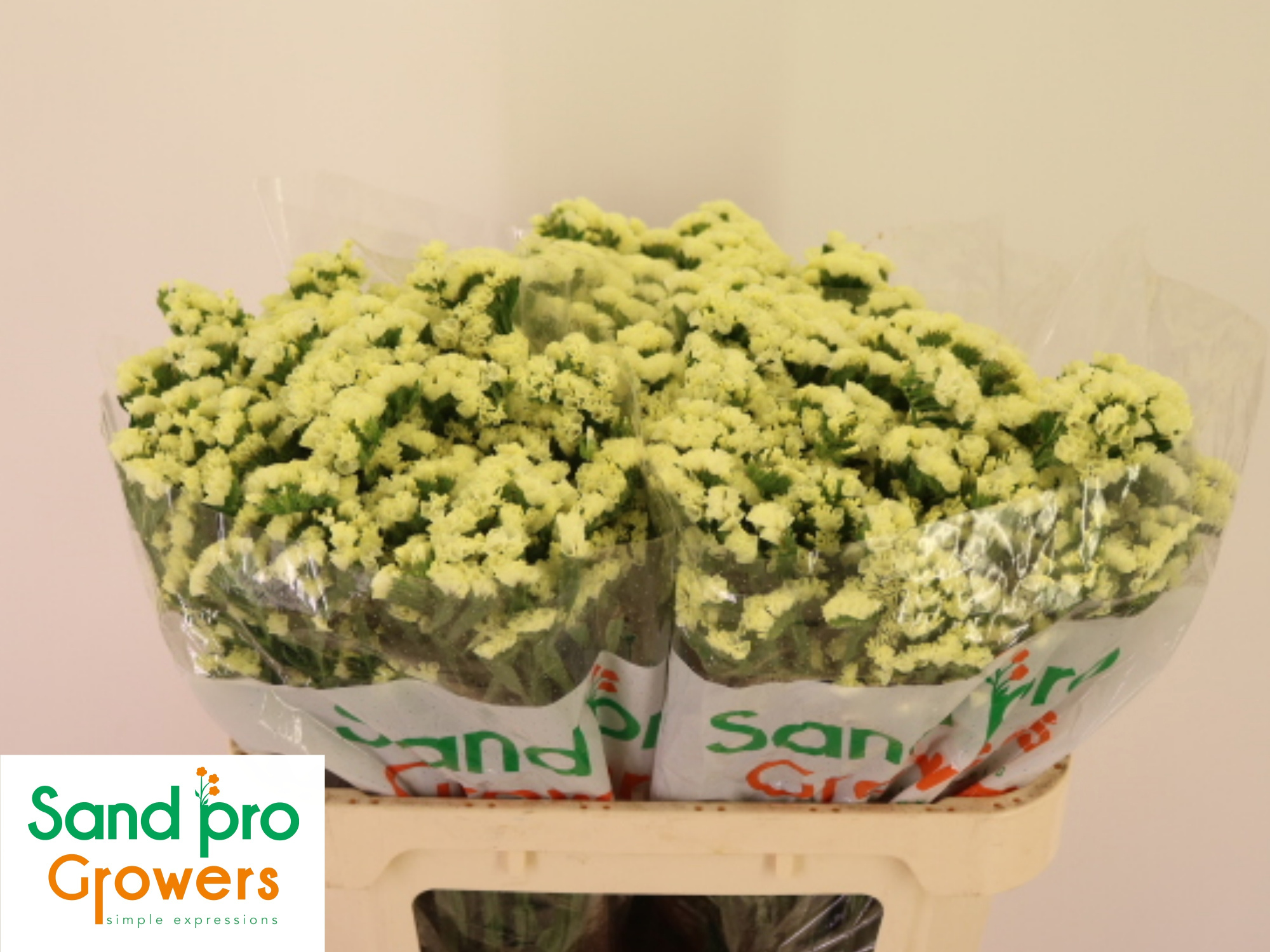 Статица Старлайт Вингз 70, шт.