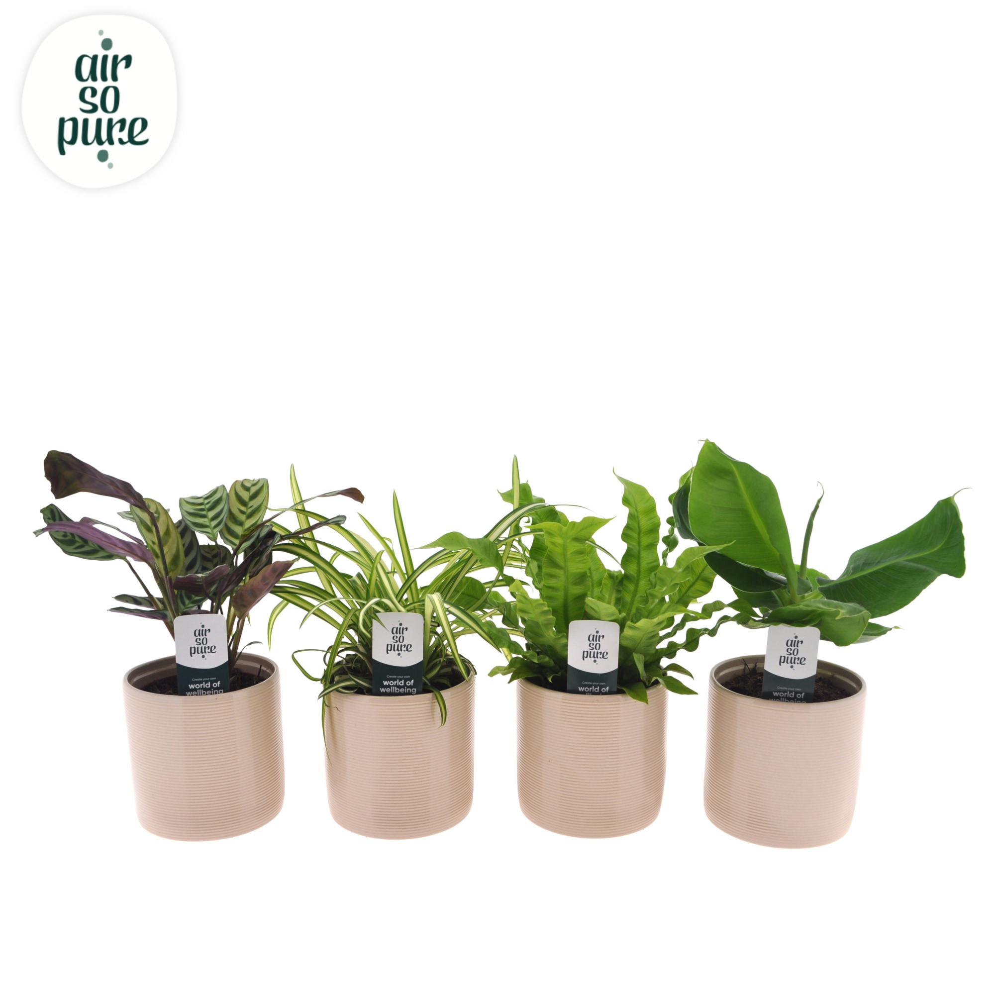 Air So Pure mix in Havana keramiek, D 12 cm