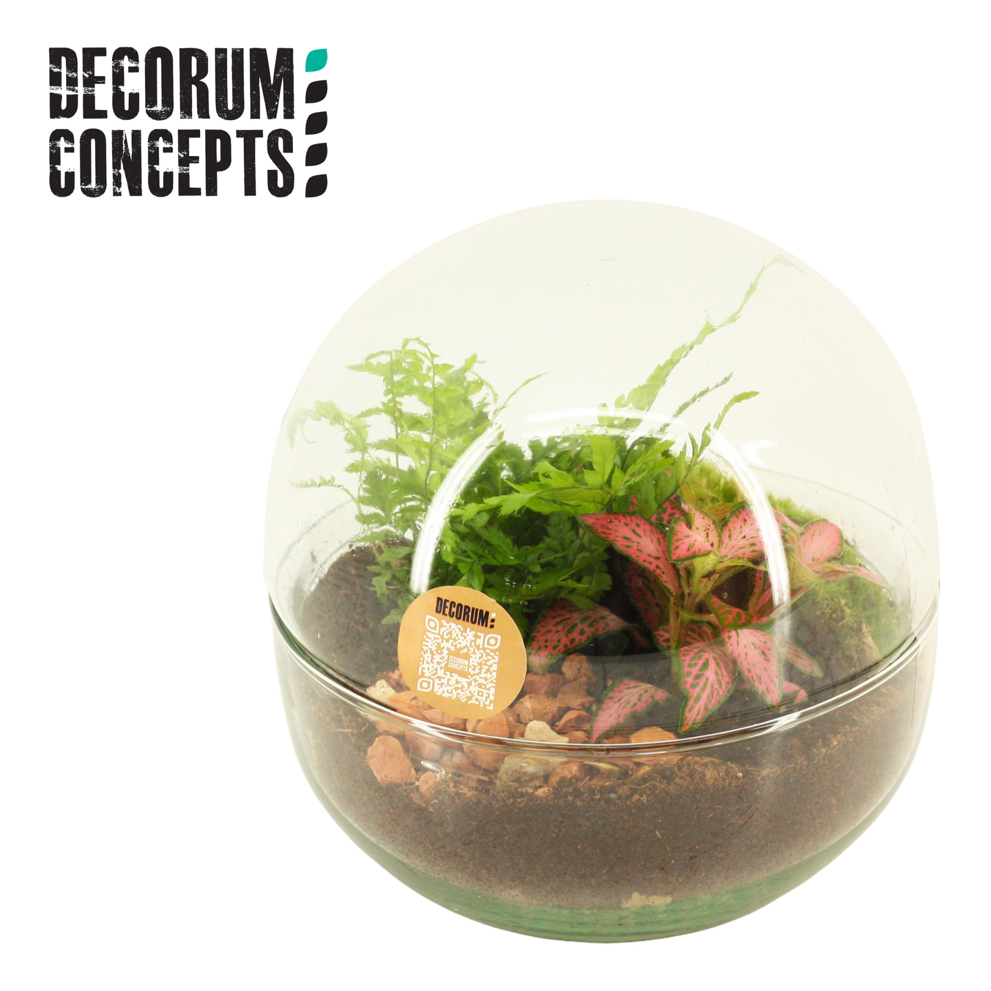 Terrarium Earth small (Decorum concepts), D 14