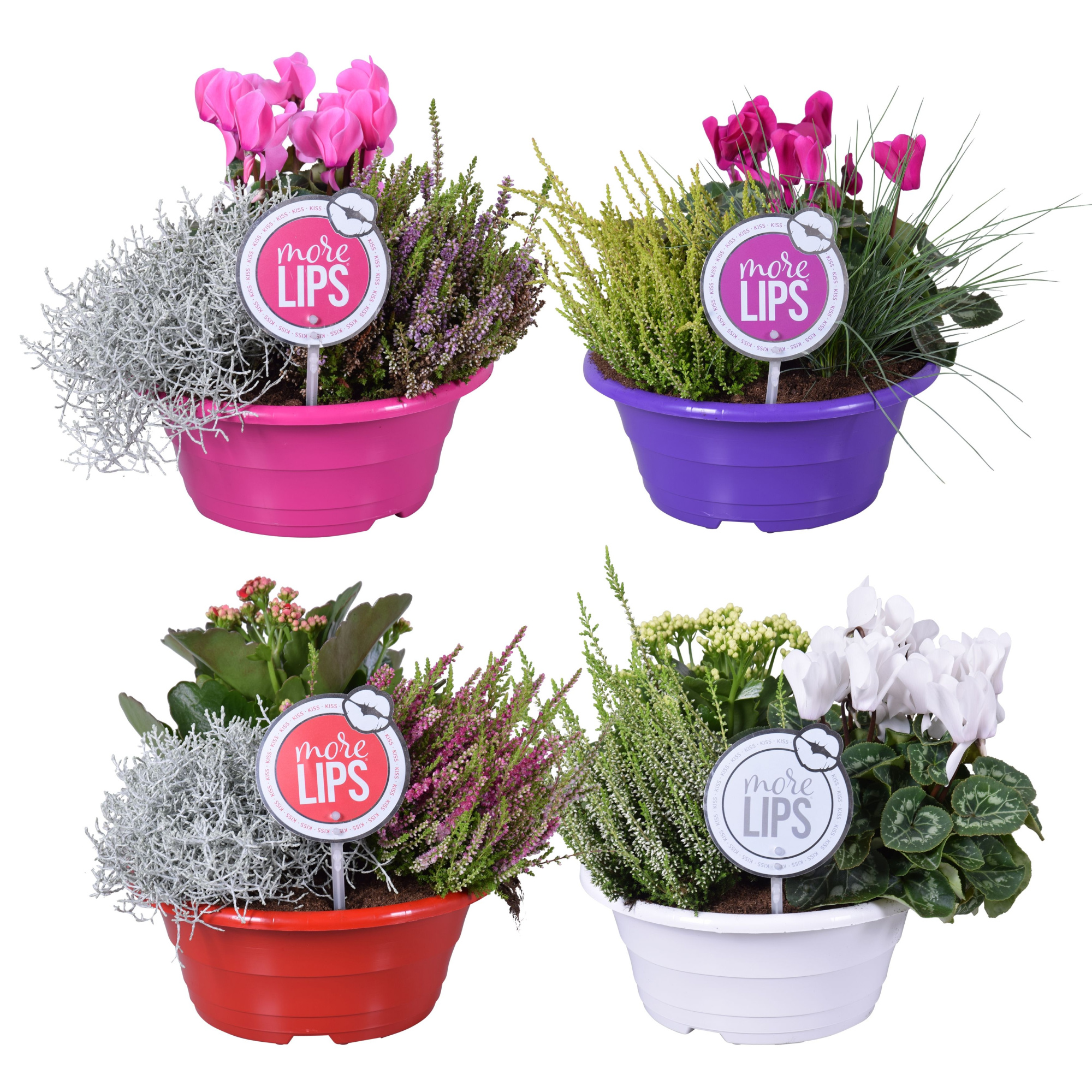 MoreLIPS® Autumn trio in schaal 'Leaf', D 23 cm