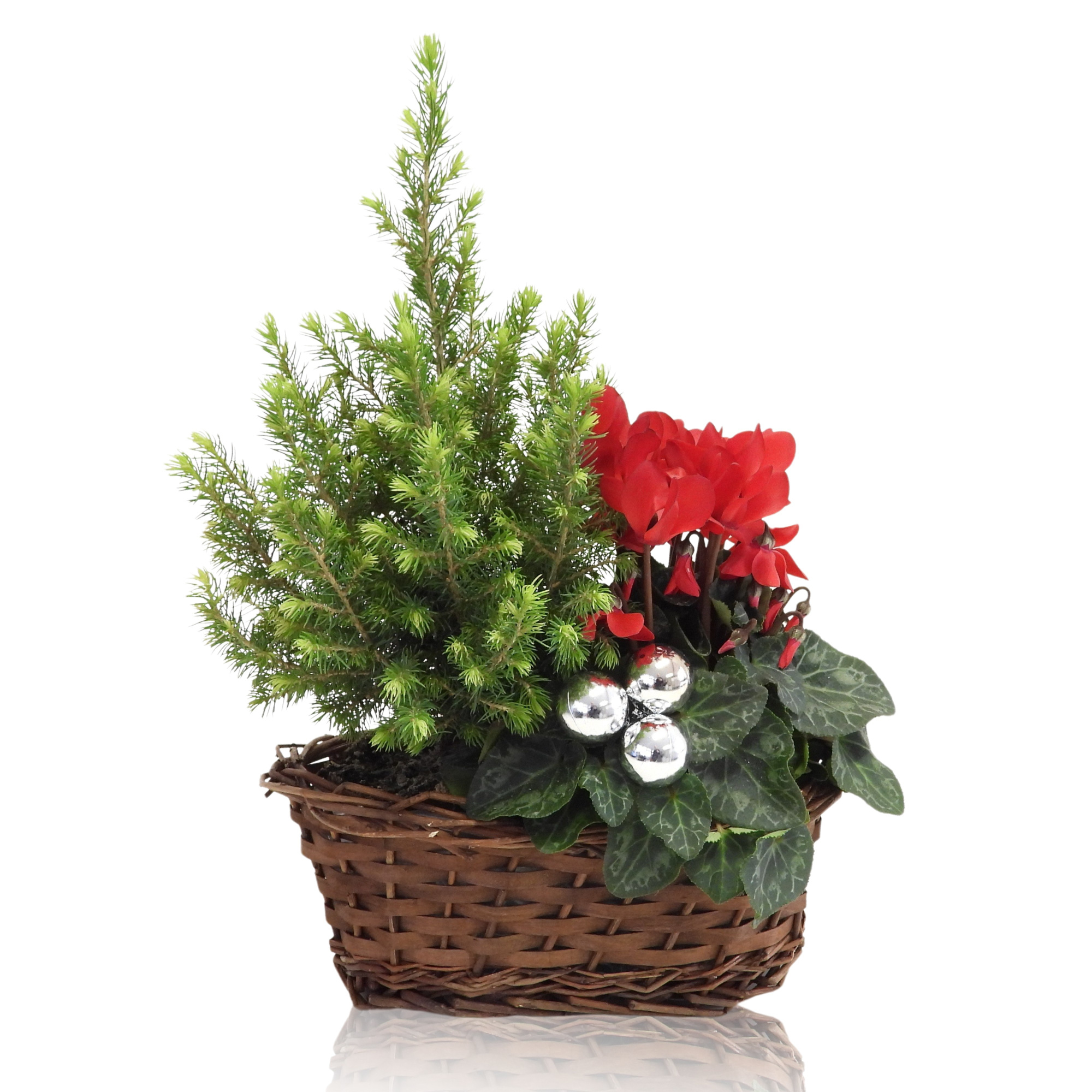 Collectie Hanoi Winter Specials in Mand 25 cm Kerst, D 25