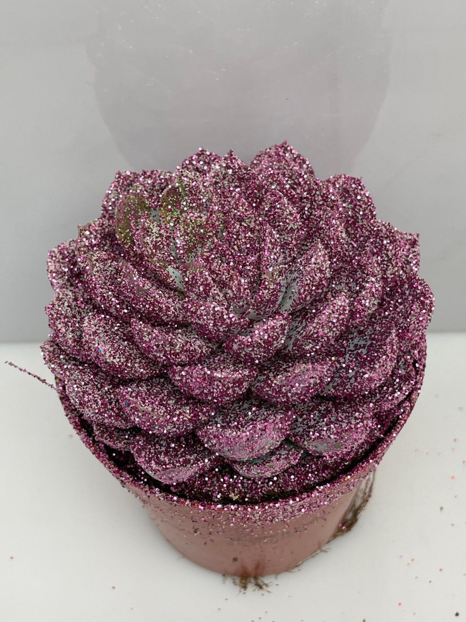 458 Kerstster BIO Twinkle glitter rose 8,5 cm, D 8,5 cm