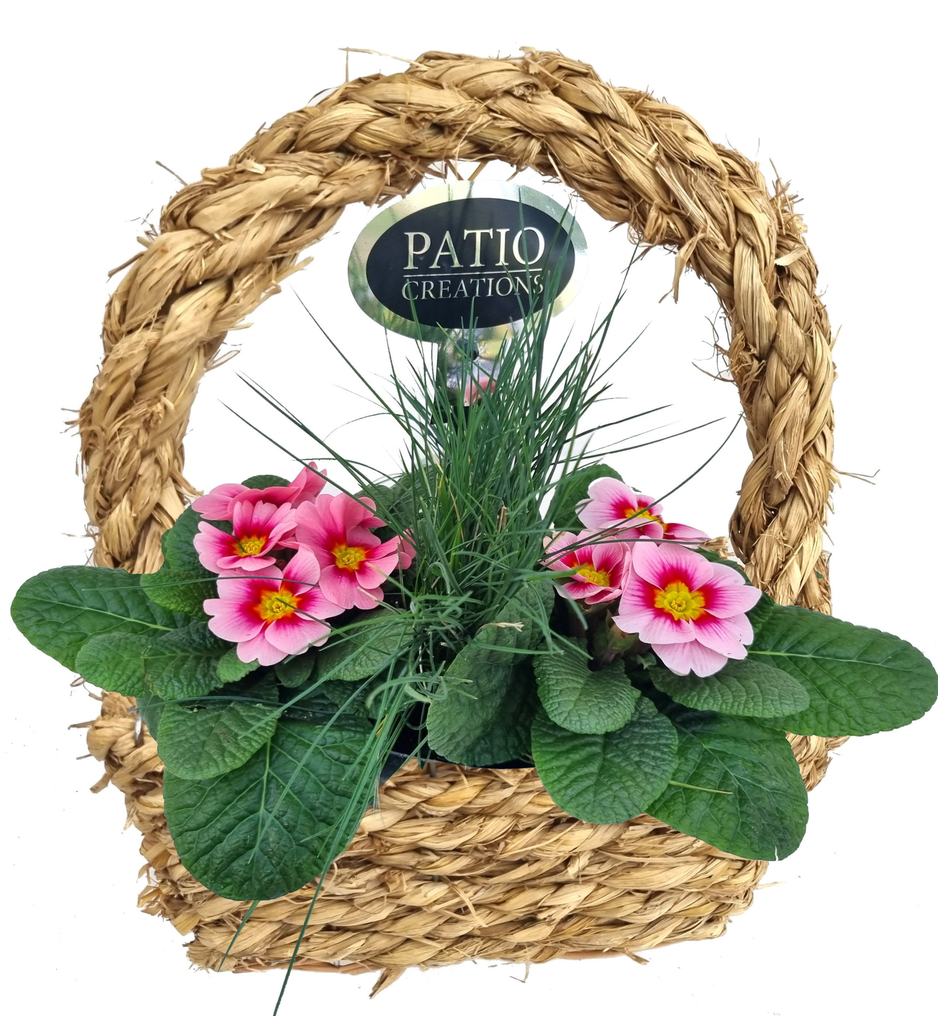 PRF662-9001 Primula/Festuca hengselmand zeegras S, D 22