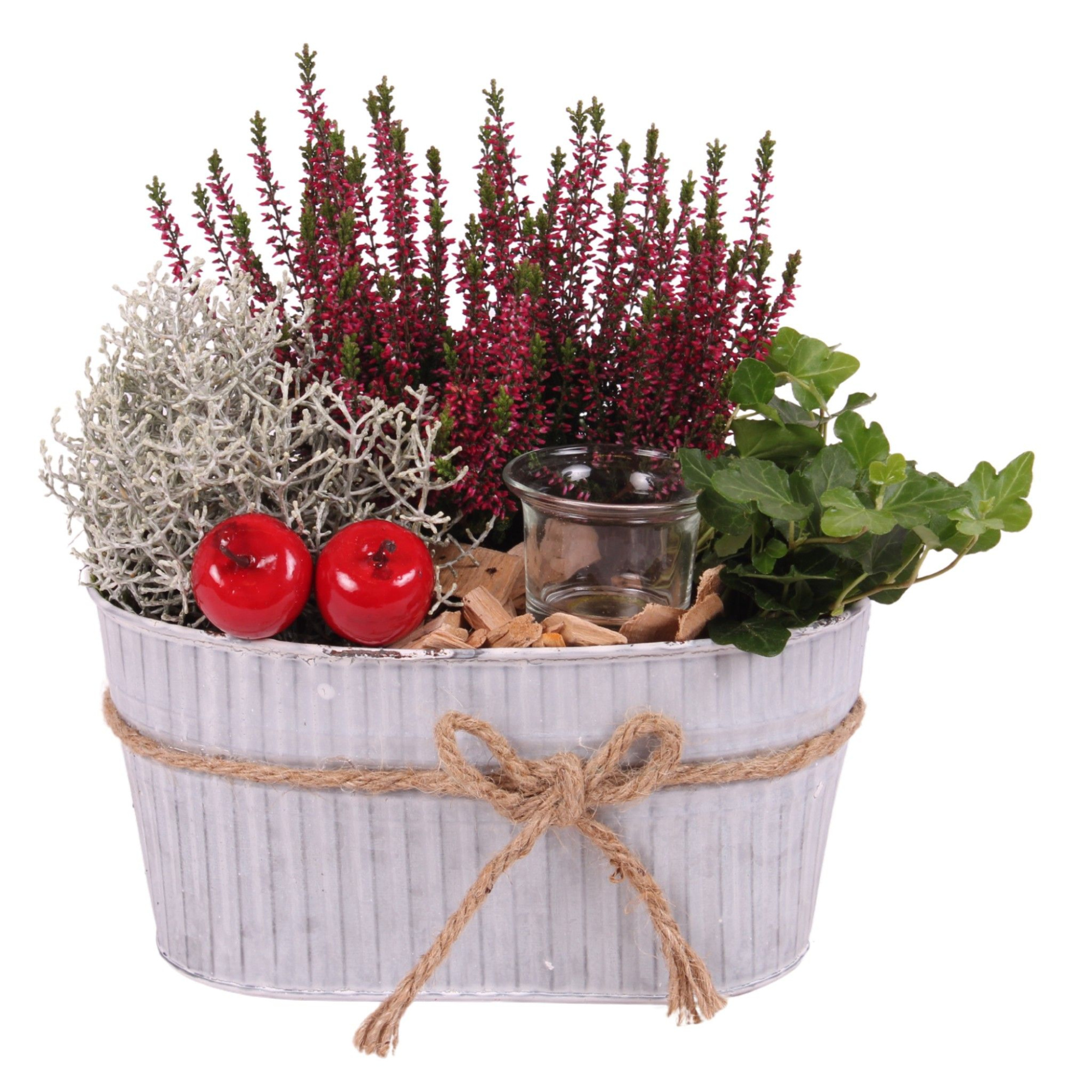 All Saints Arr. Outdoor Zinc Pot with Rope Oval Ø25cm 3PP, D 25 cm