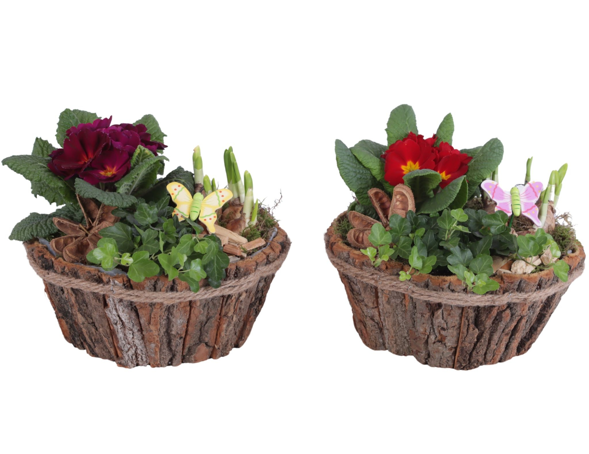 Early Spring Arr. Outdoor Wooden Natural Bark Pot Rope Ø24cm 3PP, D 24