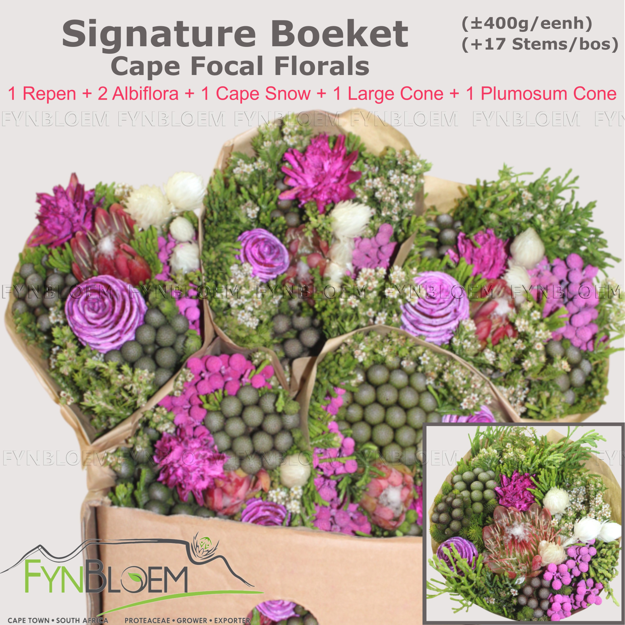 Протея Овериг за пучок 40, пуч.