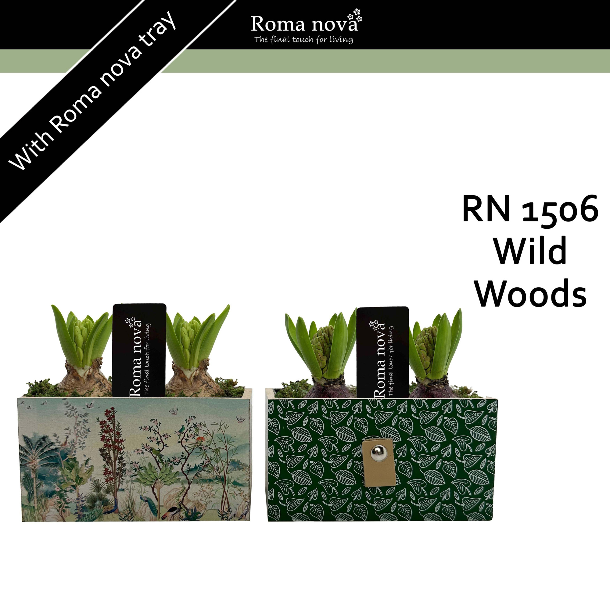 1506 - Wild Woods (Hyacint), D 15