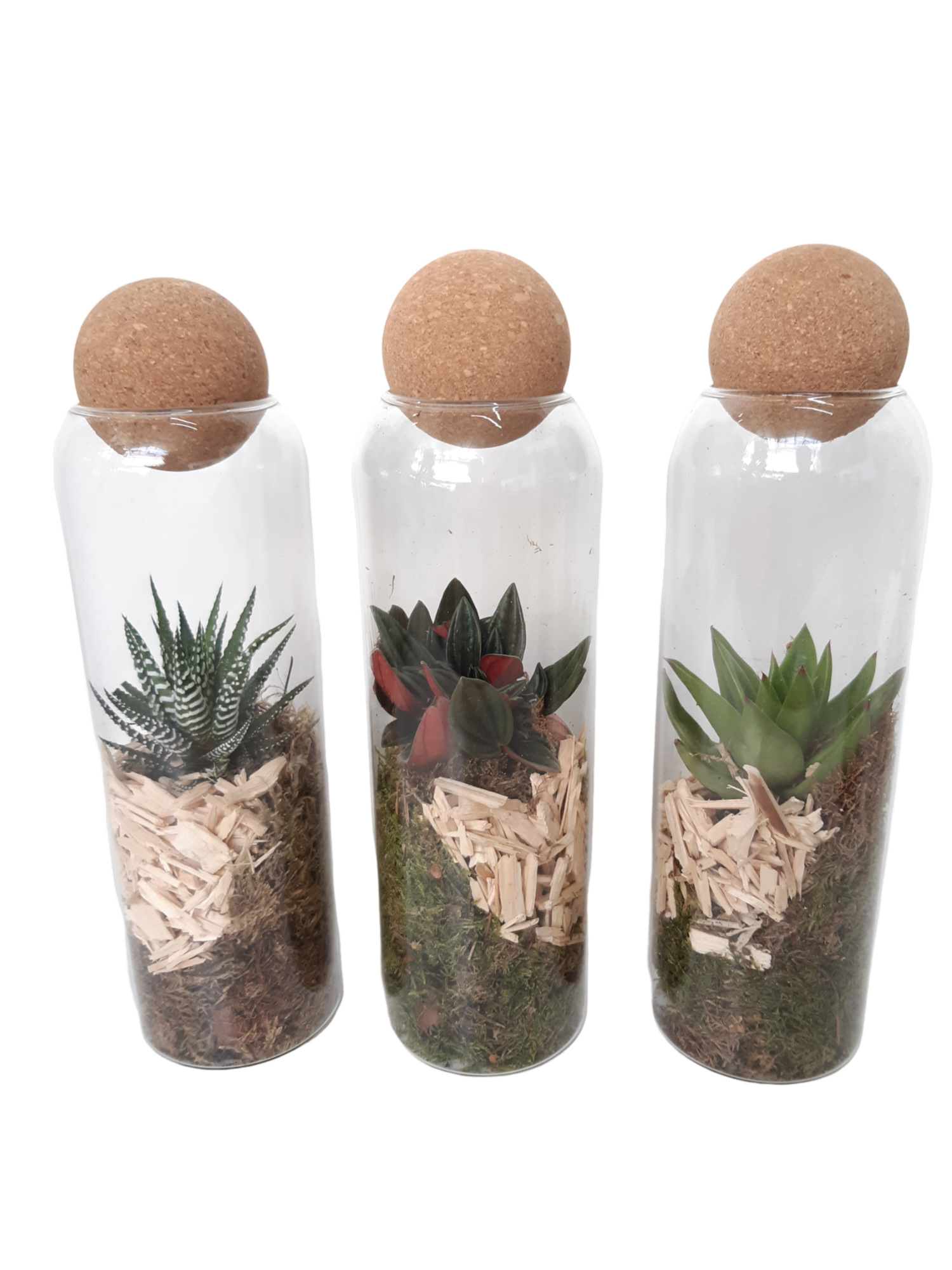 TVKB29 Glasvaasje + kurkbol H29 mini groenmix, D 9 cm