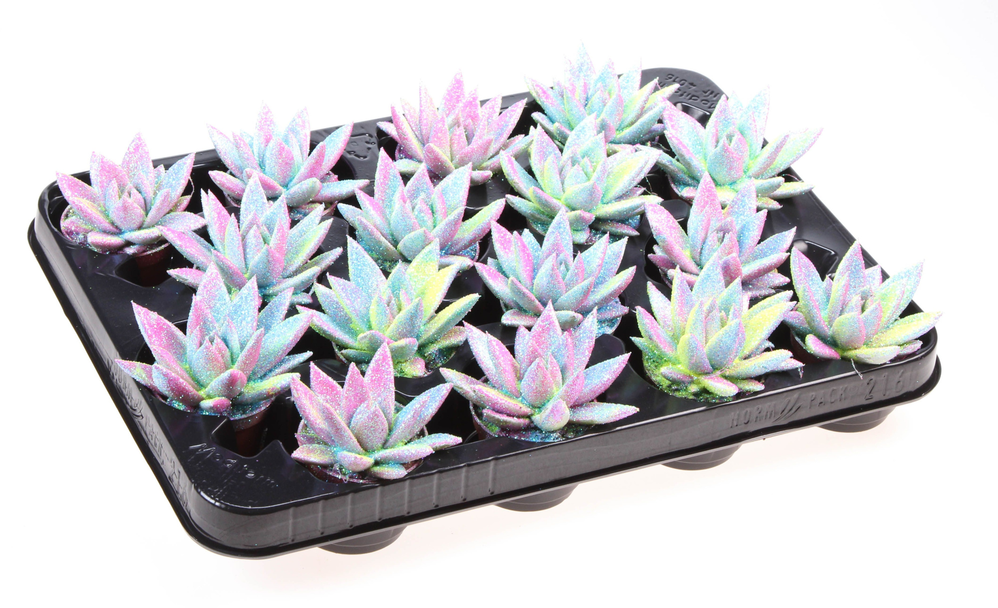 Miranda multi glitter mix, D 6