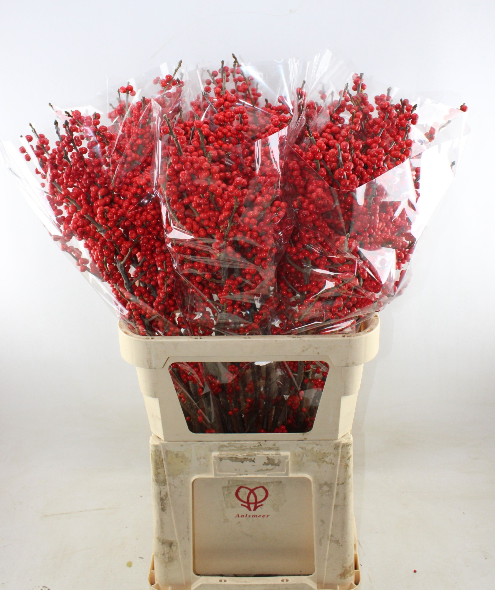 Илекс Красные ягоды 90, шт.