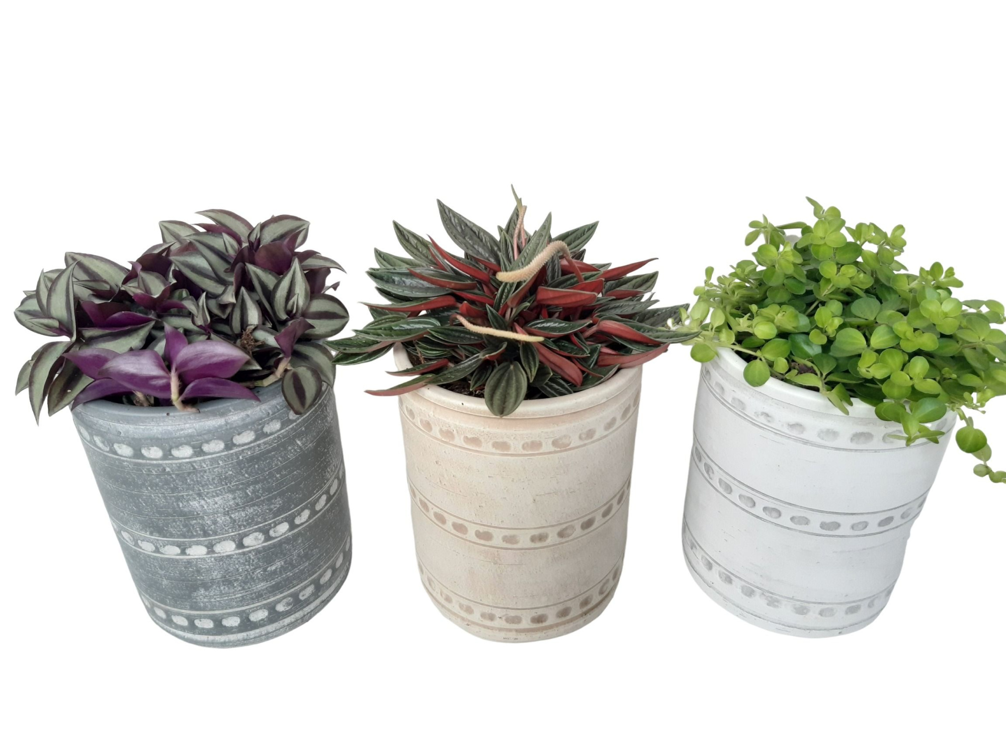 PCV16GEM Cilindervaas 16cm Groenmix, D 16 cm