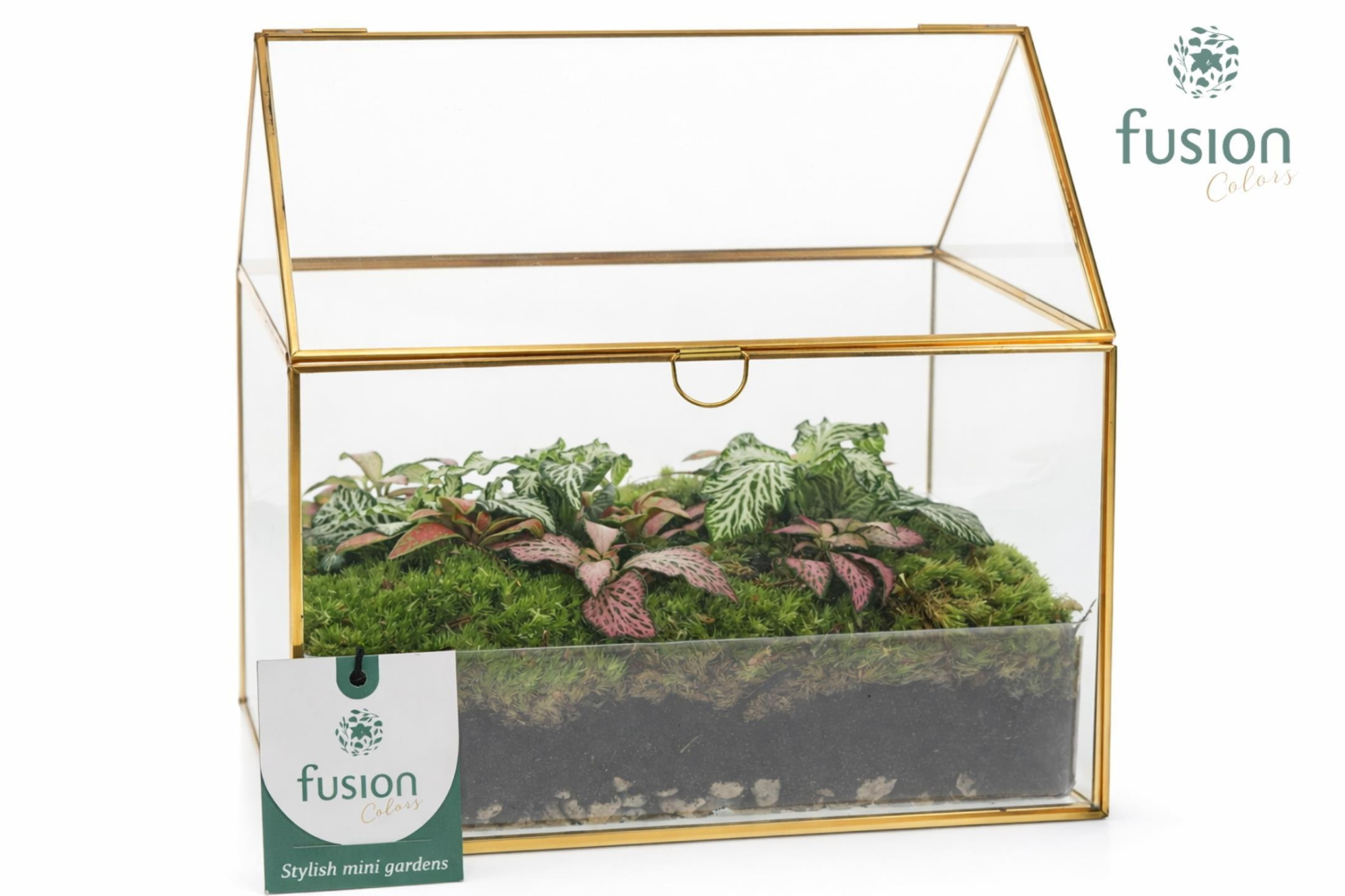 Glazen huis met arrangement, D 20