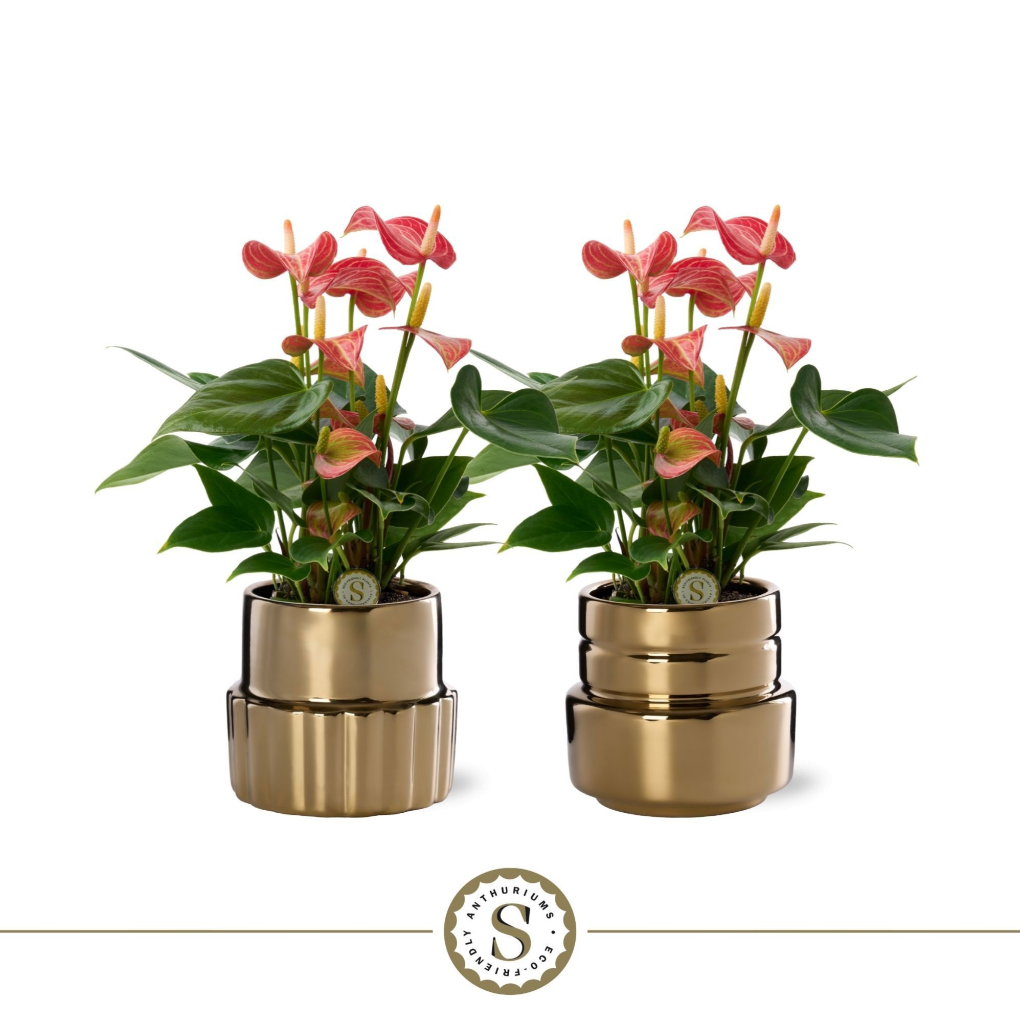 Oslo Gold Keramiek 9cm Livium, D 9