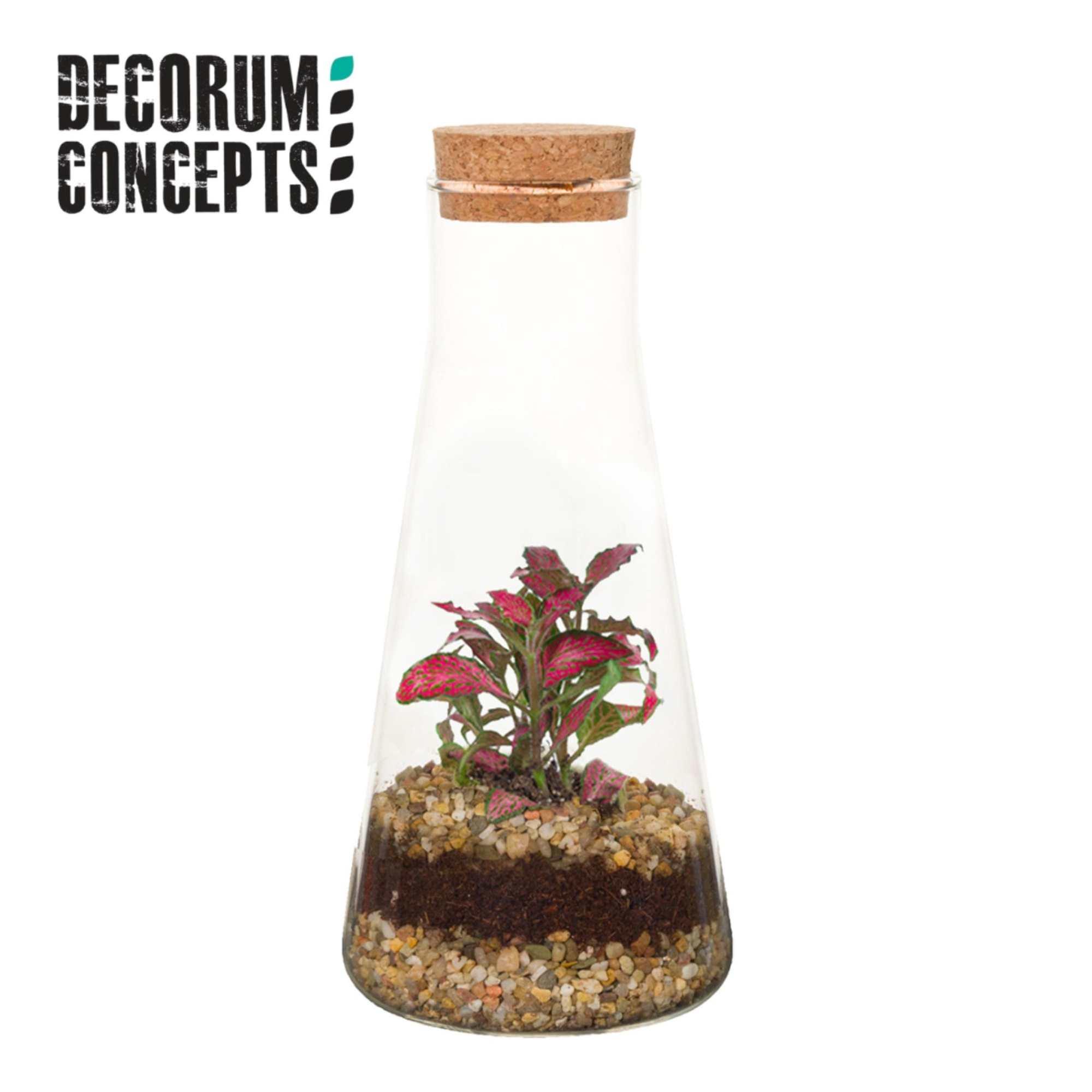 Terrarium Kalypso (Decorum concepts), D 9 cm