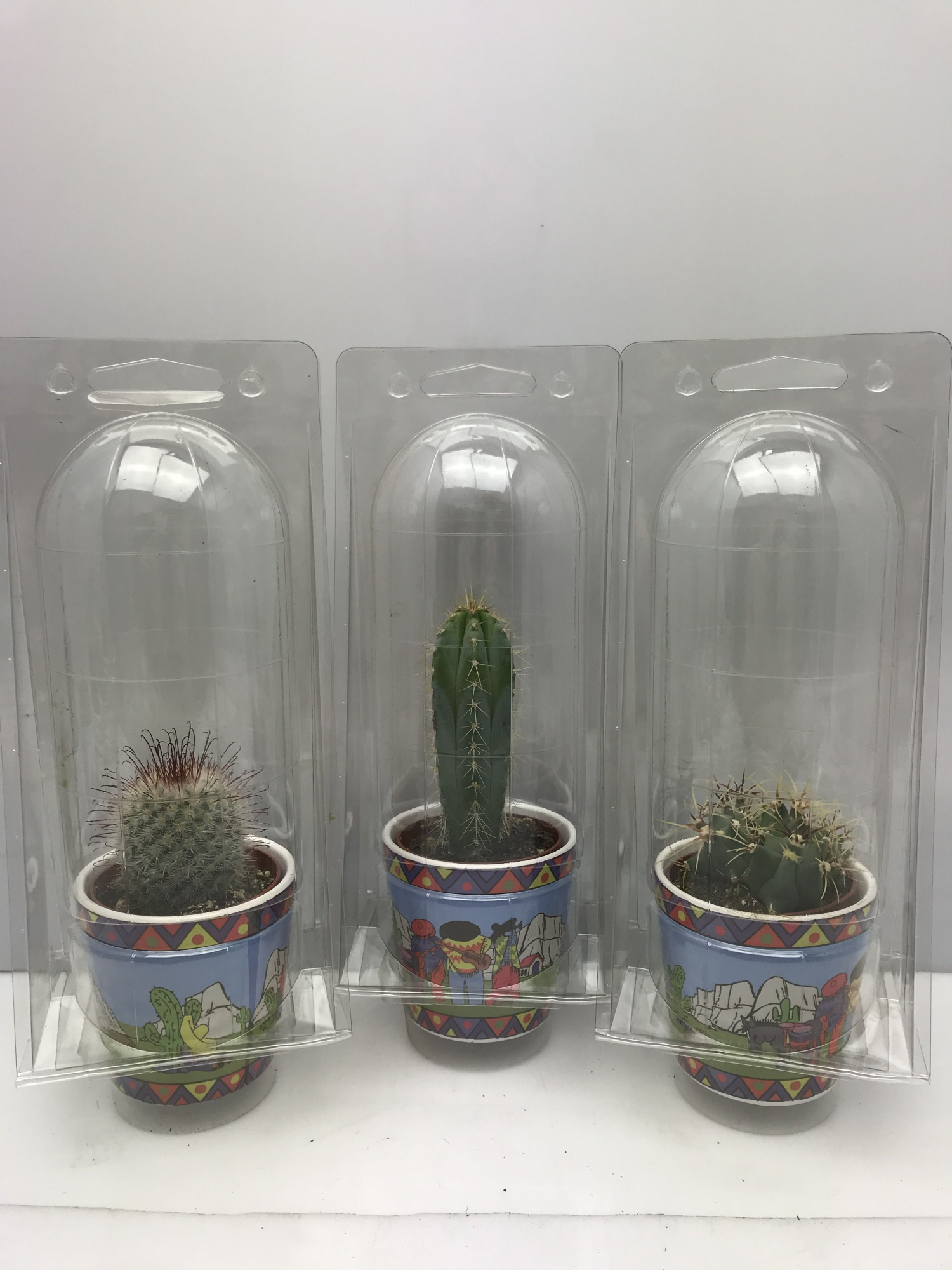 366 Gringopot soloblister cac 6,5 cm, D 8 cm