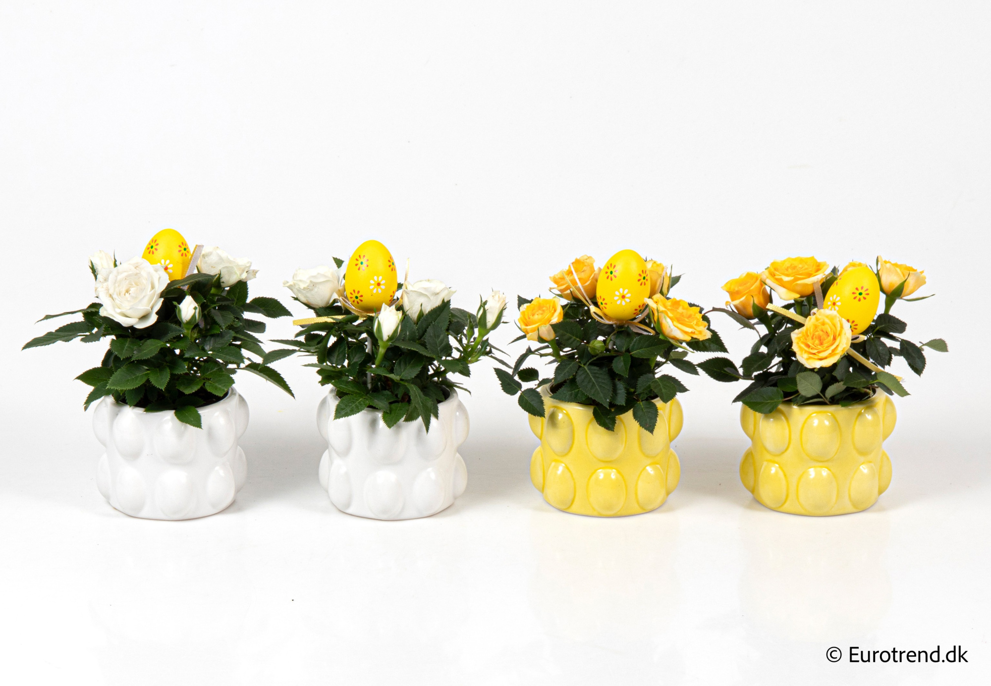 Roses in Easter ceramic 2026, D 6