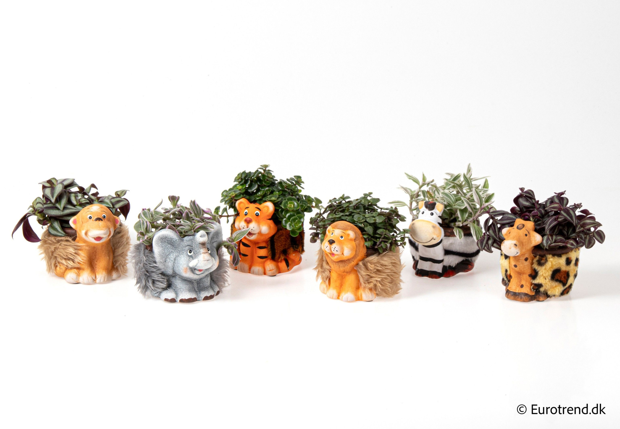 Green mix in ceramic animal - Spring, Summer & Autumn 2025, D 6 cm