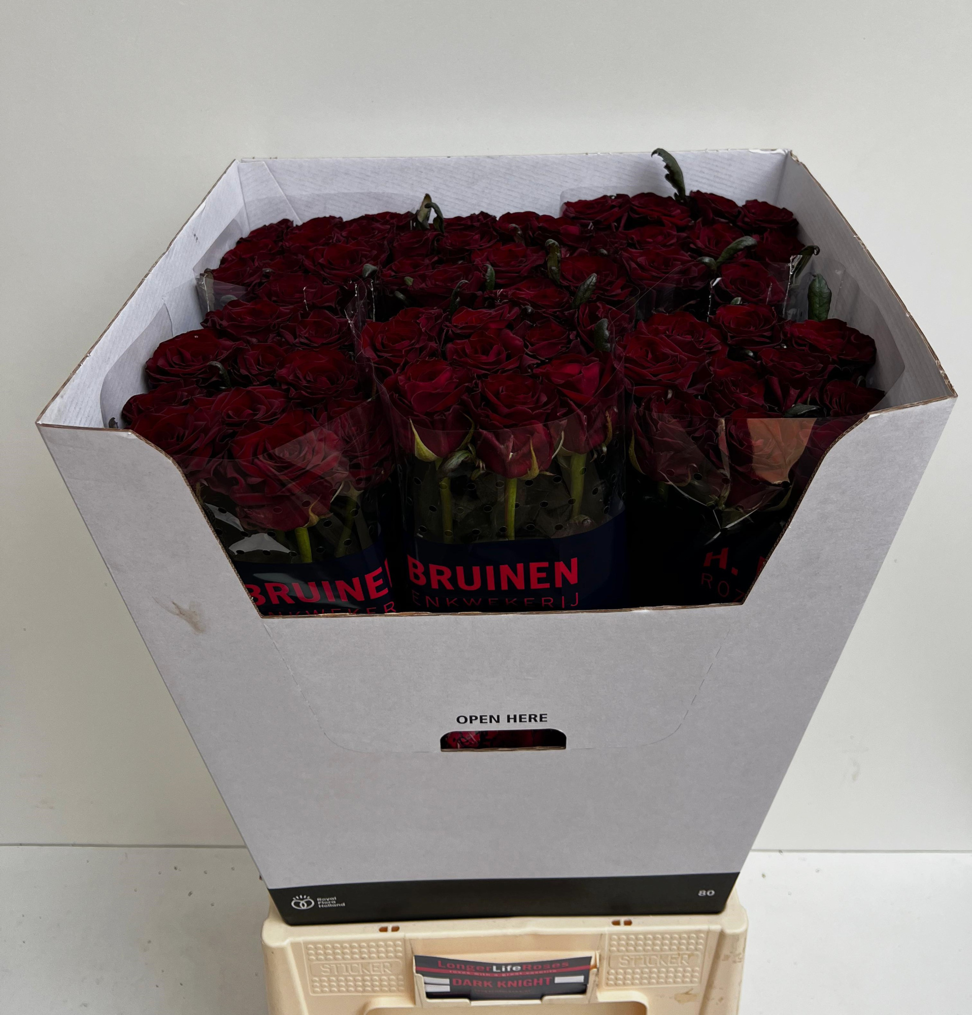 Роза од. Марк Найт 80, шт.