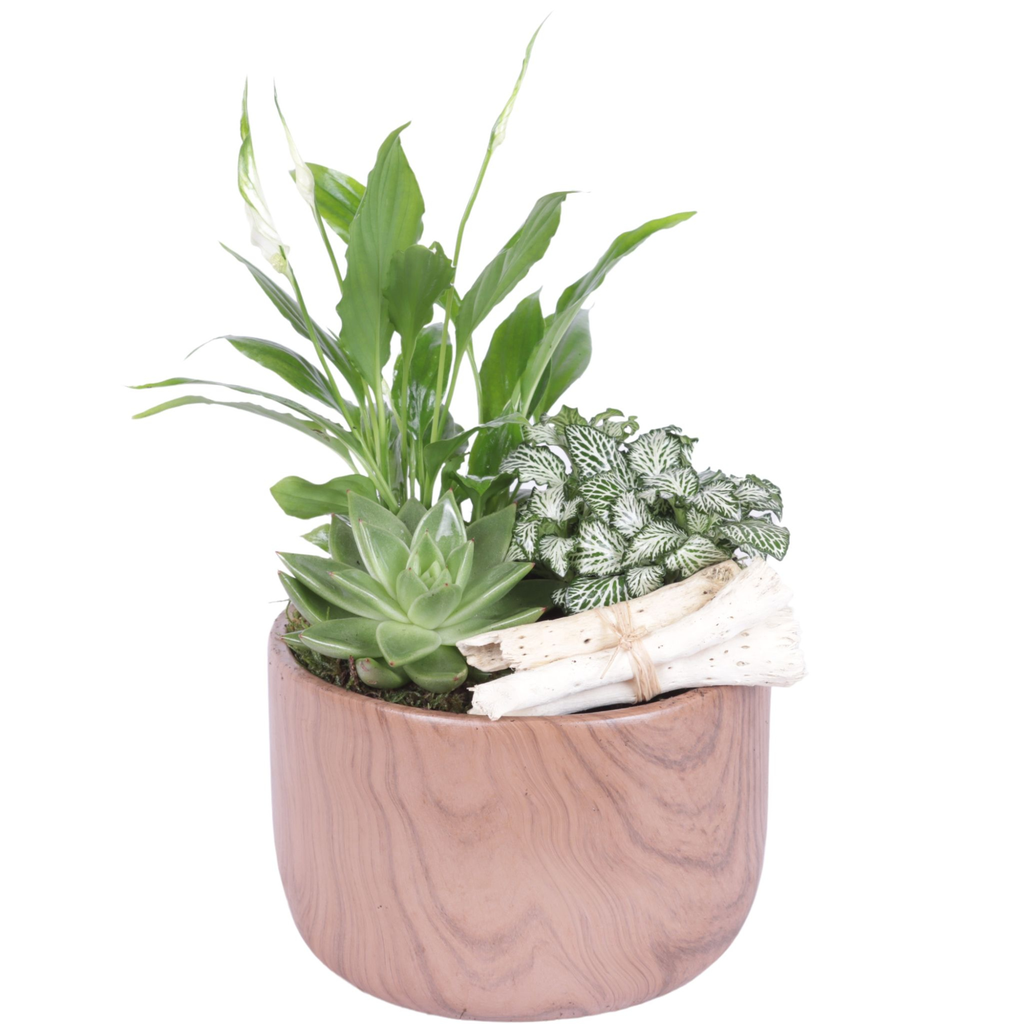 Yearround Arr. Indoor Ceramic Naturel Touch N565 Ø17cm 3PP, D 17 cm