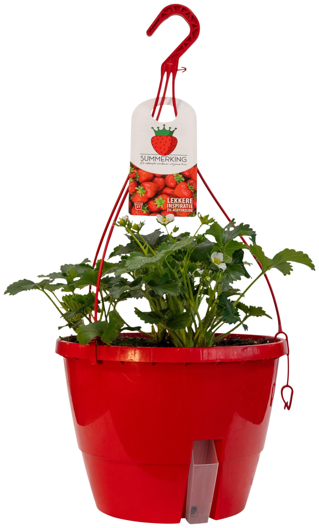 Fragaria Summerking luxe P27 hangpot, D 27