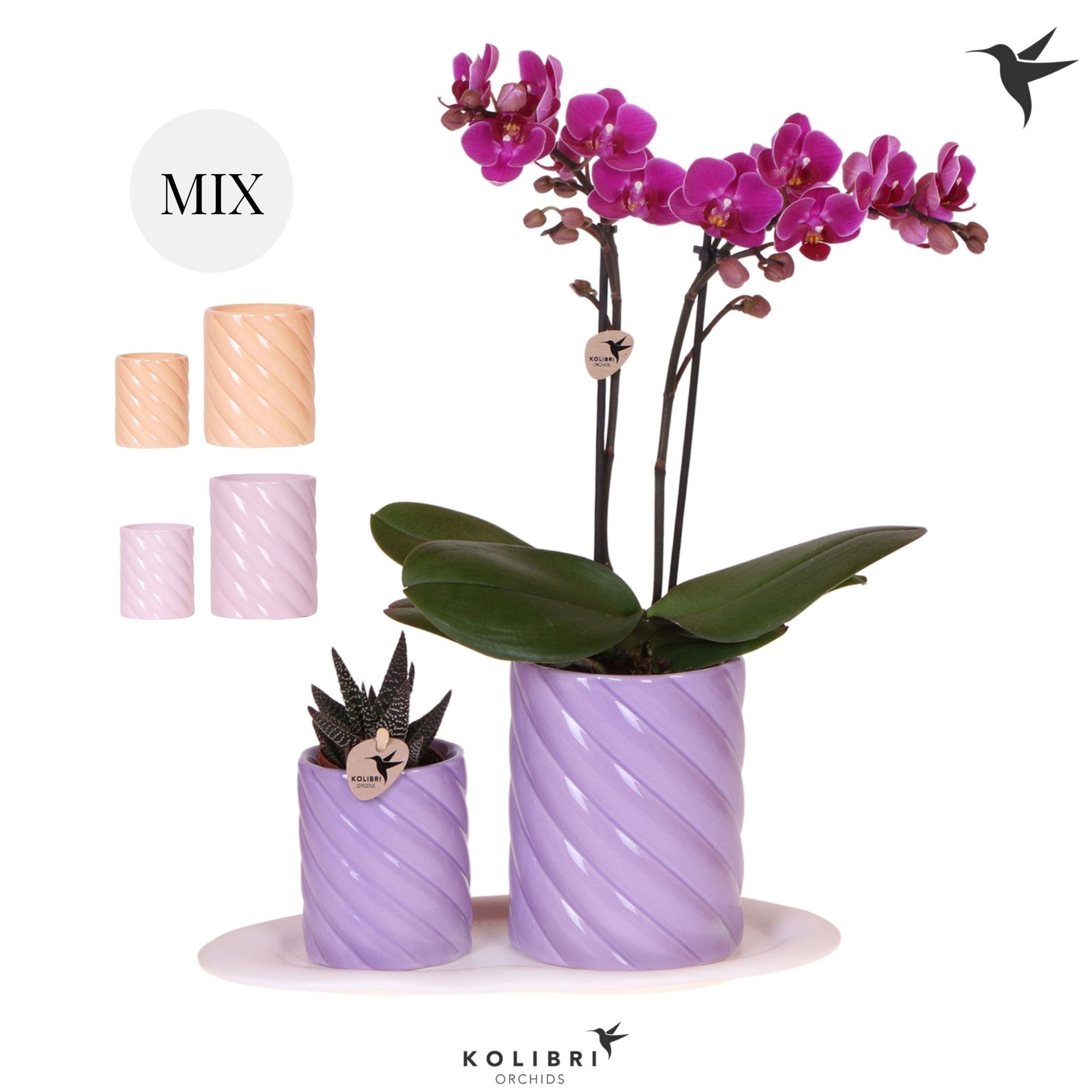 Kolibri Gift Set small Optimism high mix, D 18