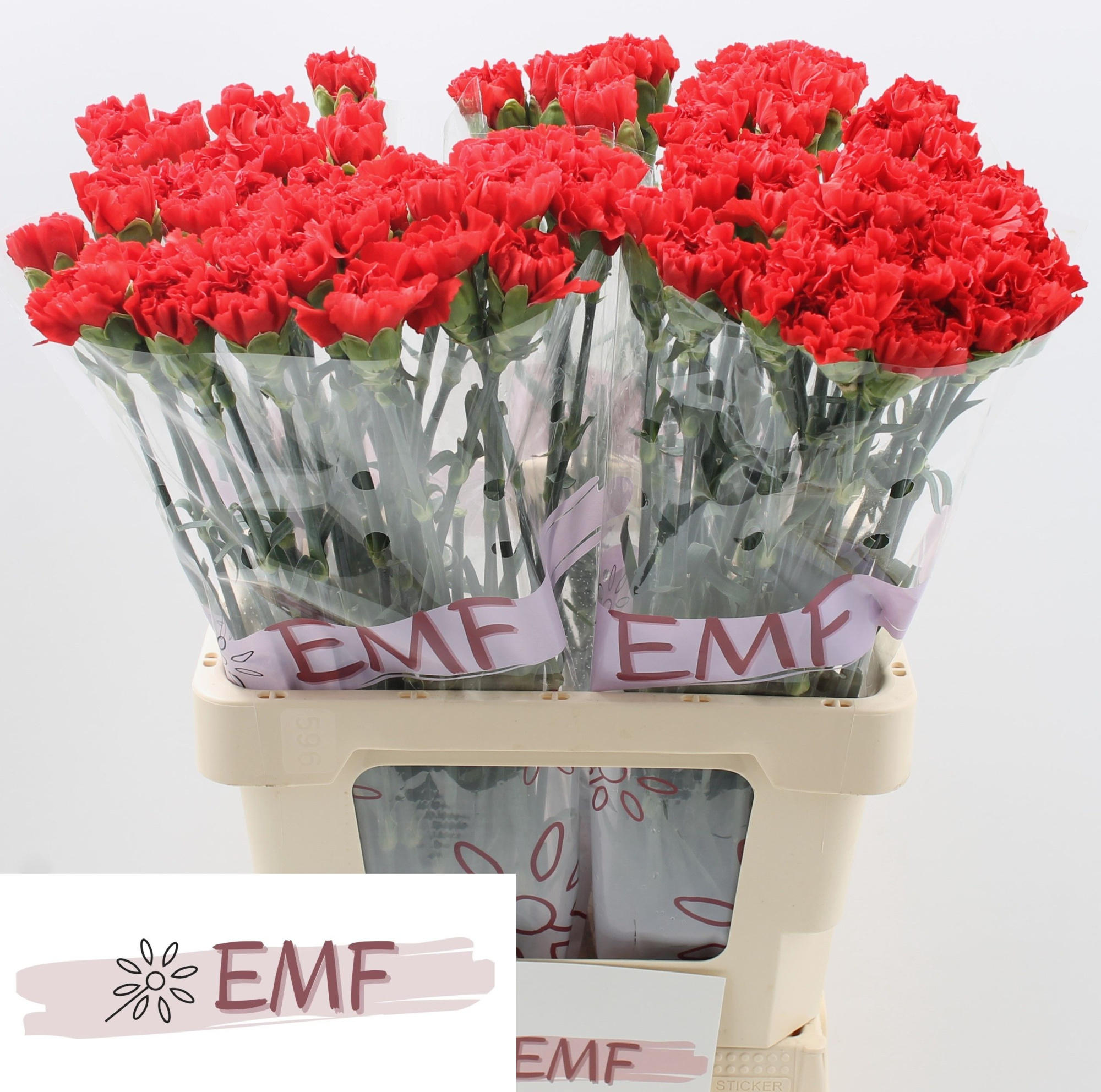 Диантус од. Гранд Слэм, шт.