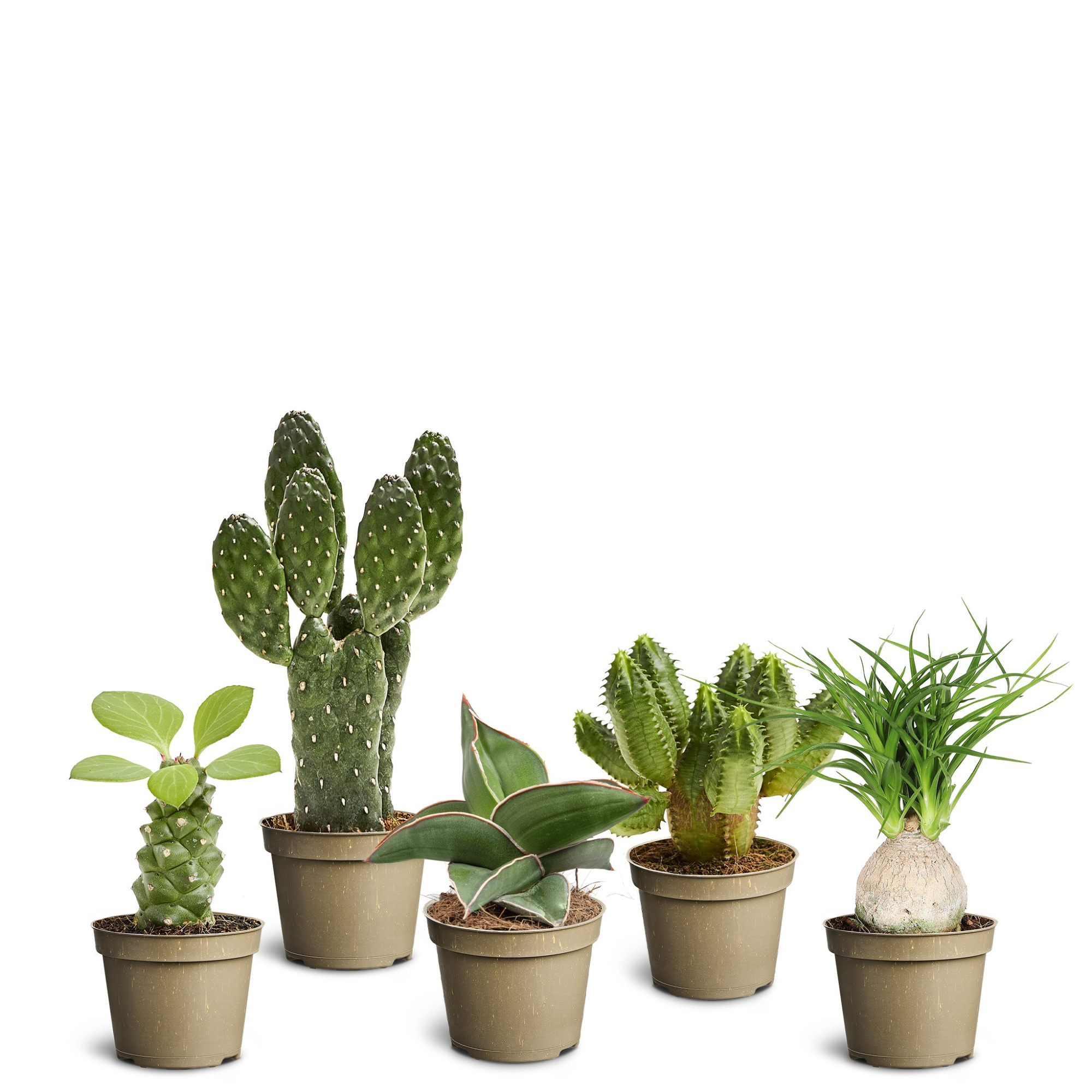 Sculpture Collection, D 6 cm