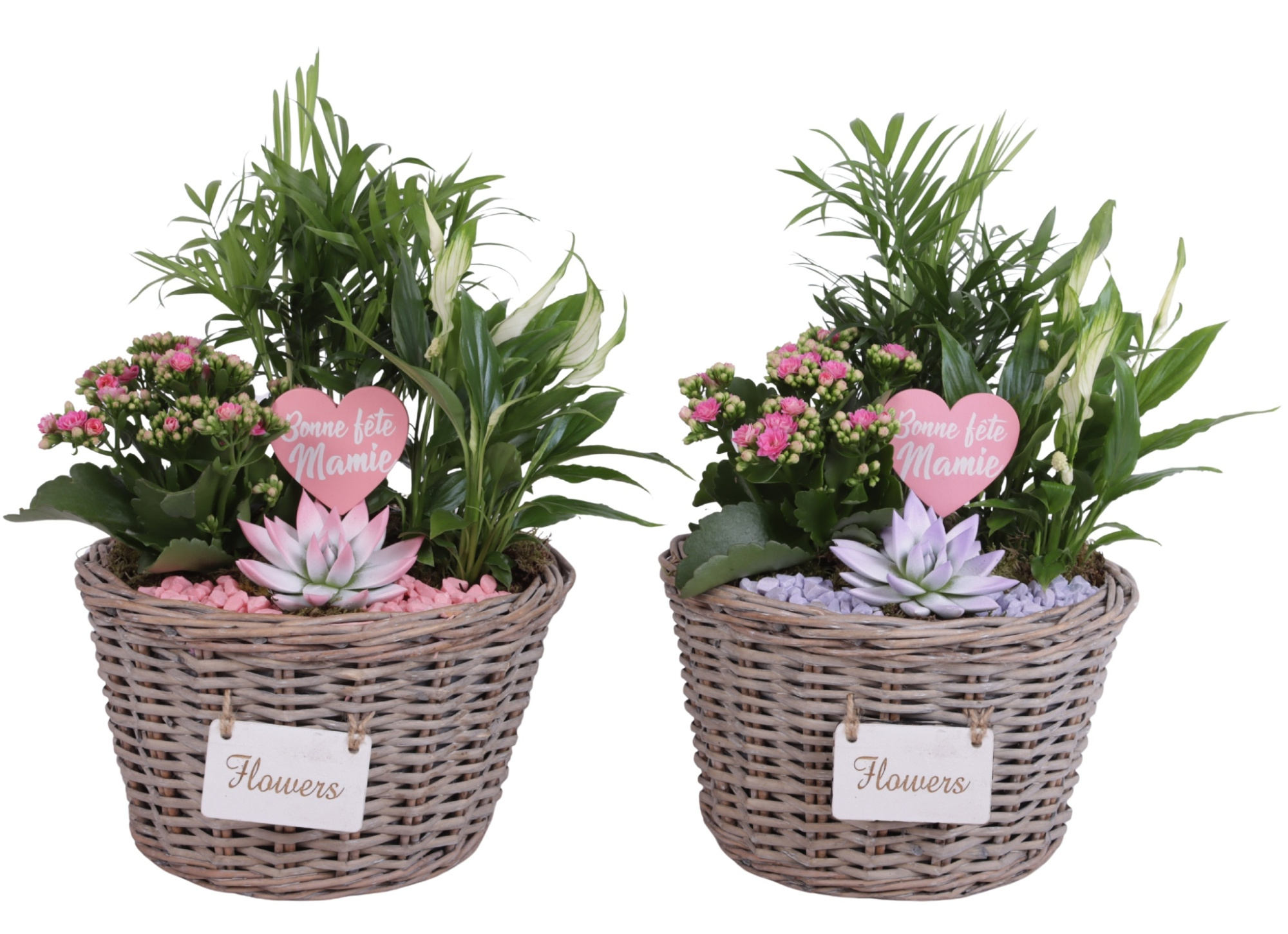 Grandmothers Day Arr. Indoor Willow Basket Flowersign Ø27cm 4PP, D 27