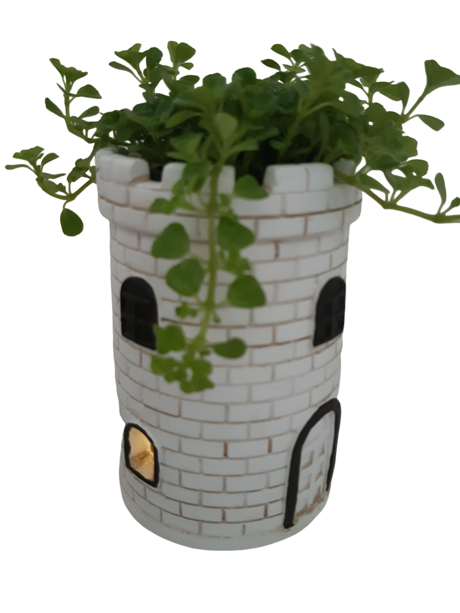 NEW 2026 LHTW8PIL Lighthouse tower wit 8cm Pilea Depressa, D 8